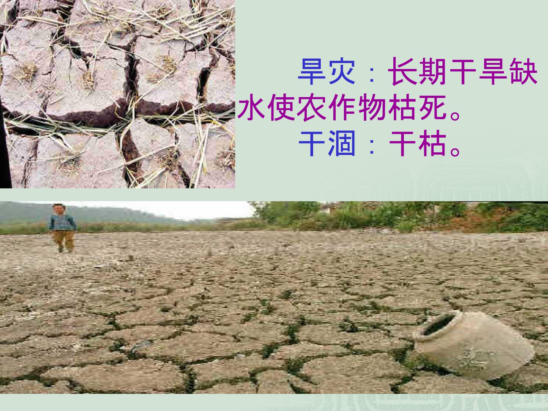 [中学联盟]安徽省怀远县项桥学校苏教版七年级语文上册（2016）二十六《七颗钻石》课件 (3份打包)