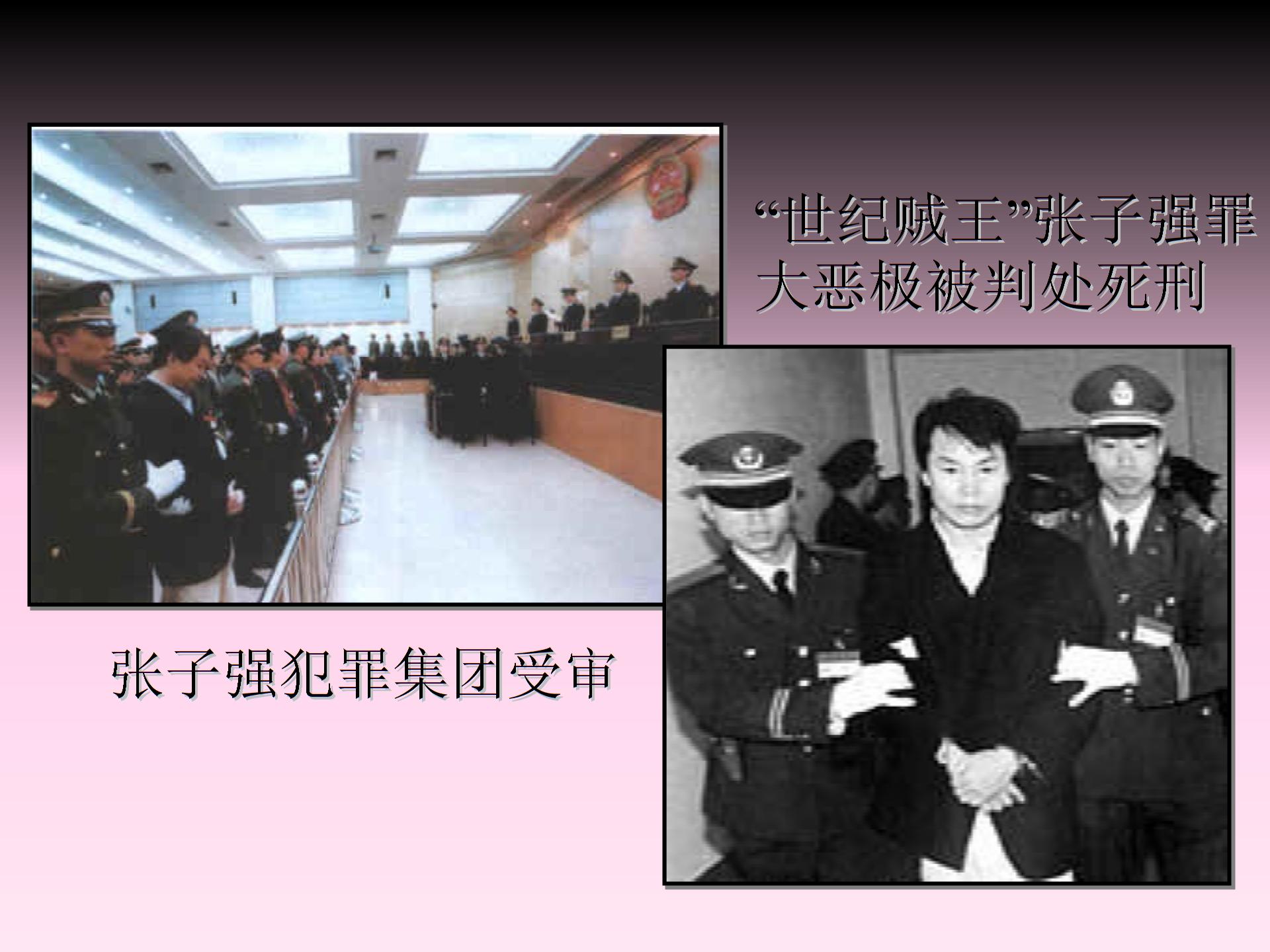岳麓版八年级历史下册第三单元 第13课《民主与法制建设的成就》课件04 （4份打包）