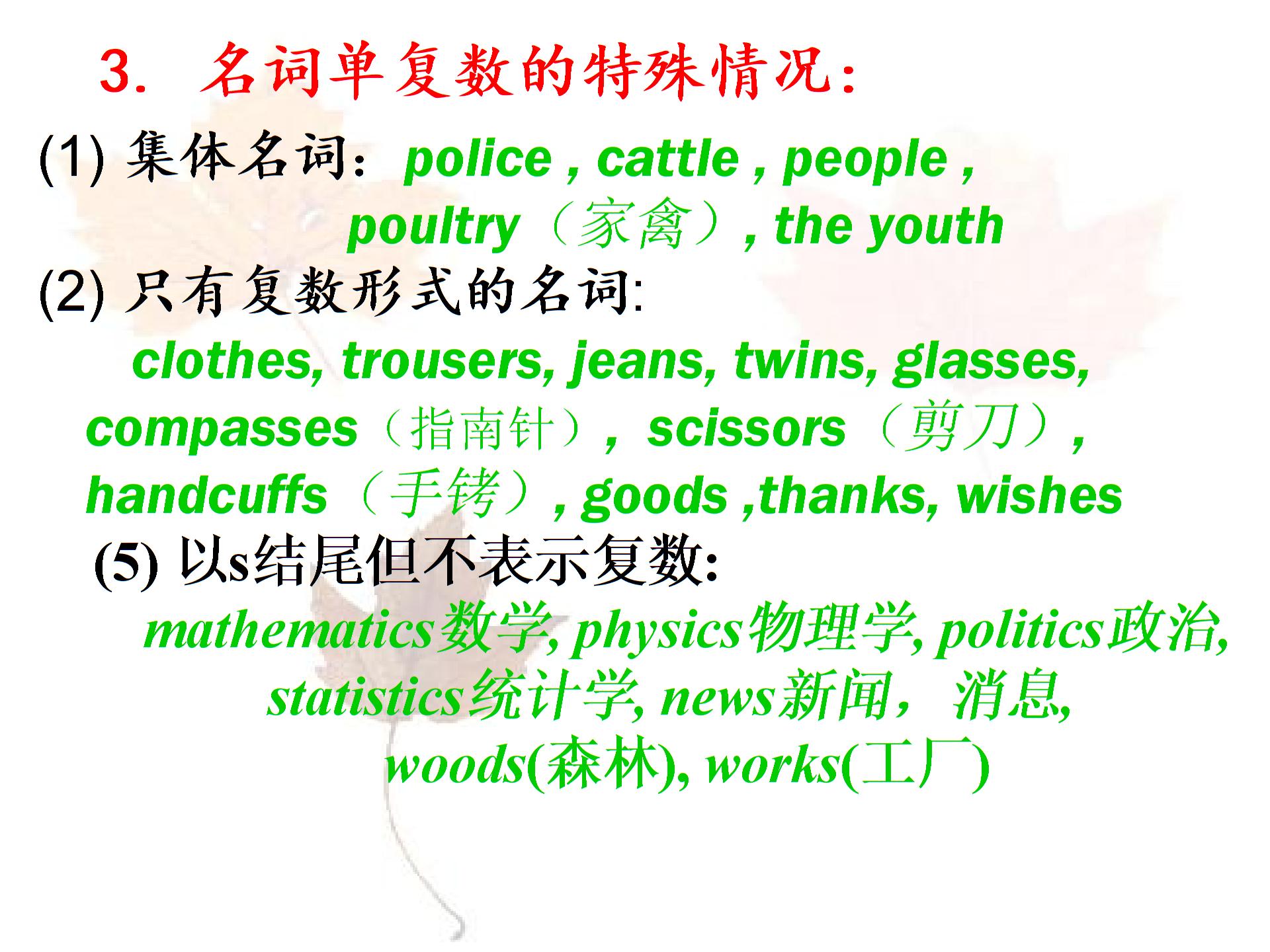 高考英语语法一轮复习：名词课件(共15张PPT)