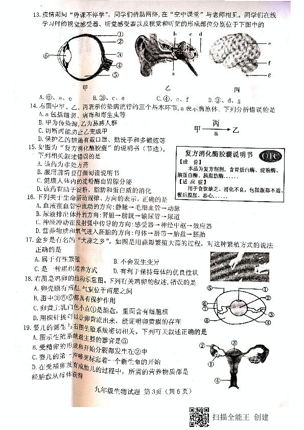 山东省菏泽市东明县2020-2021学年九年级上学期期末生物试题
