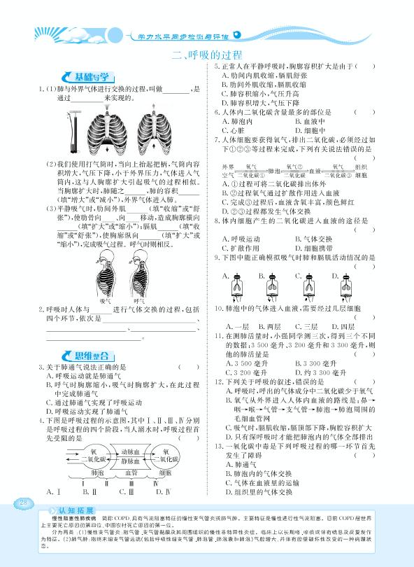 3.1 呼吸-【学力水平同步检测与评估】2020-2021学年七年级下册初一生物（冀少版）