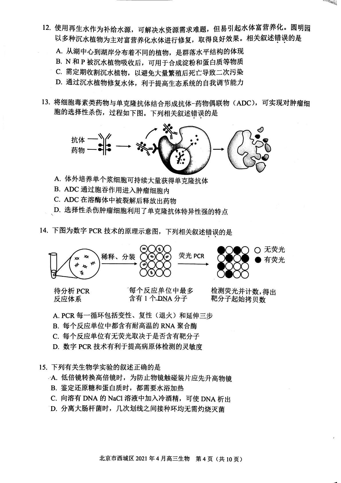 北京市西城区2021届高三一模生物试题