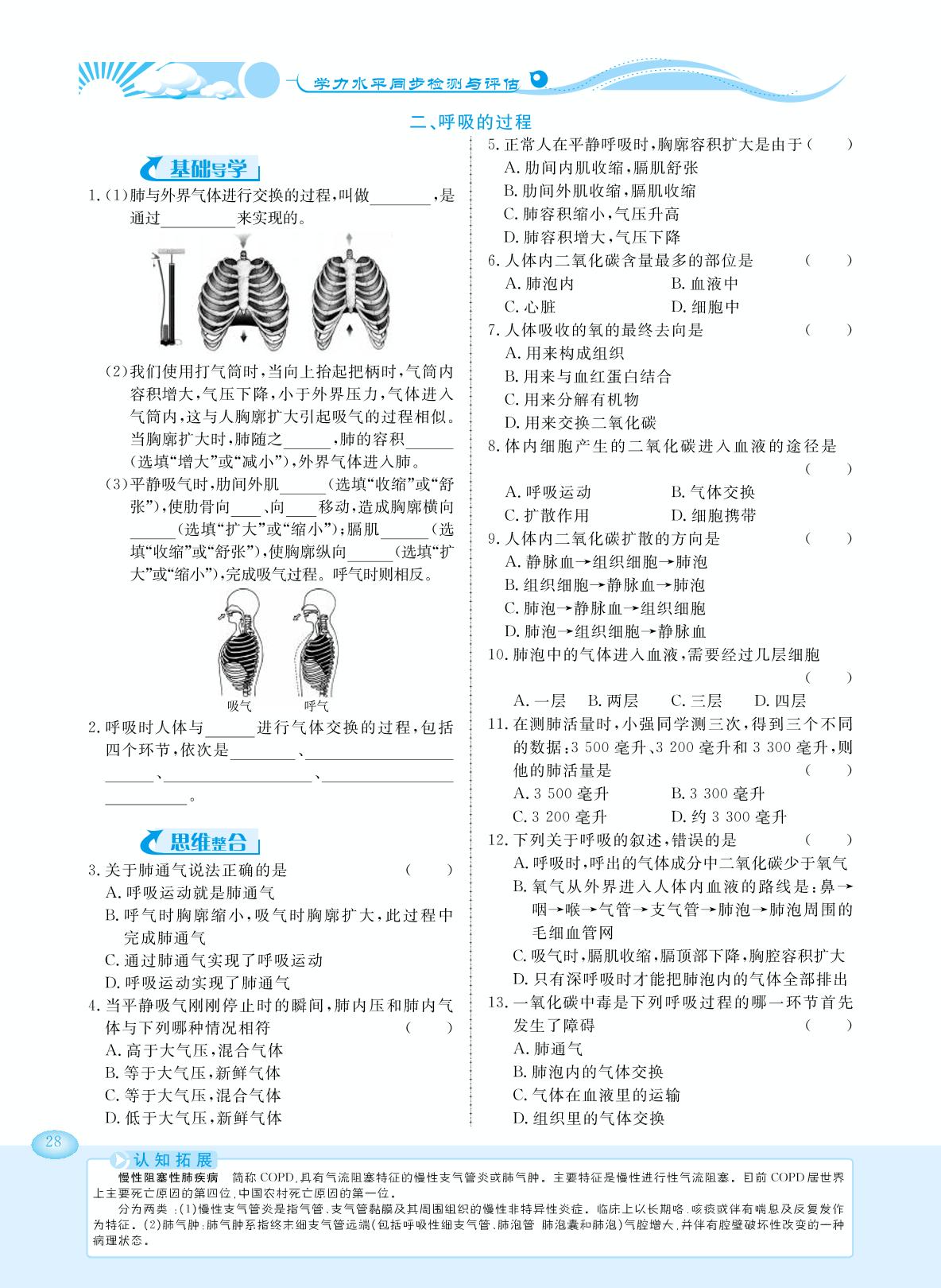 3.1 呼吸-【学力水平同步检测与评估】2019-2020学年七年级下册初一生物（冀少版）