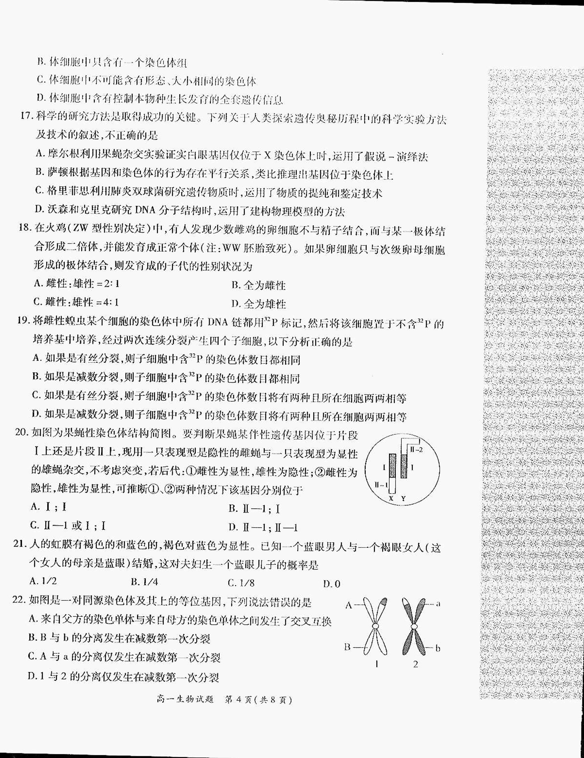 河南省许昌市2018-2019学年高一下学期期末教学质量评估生物试题（扫描版）