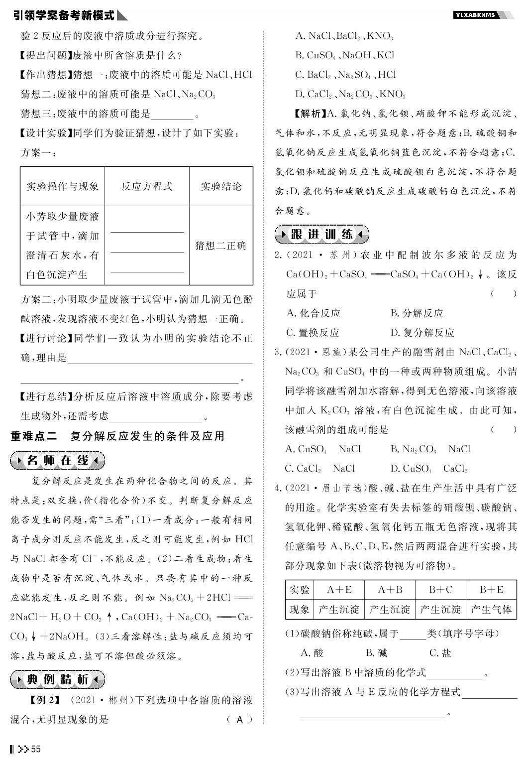 第11讲 盐 化肥-2022中考化学复习之堂堂清【名师学案】分层进阶学习法