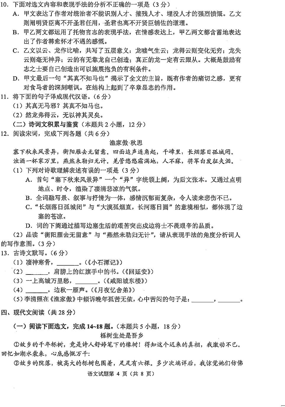 2022年四川省南充市九年级第三次诊断性检测语文试题