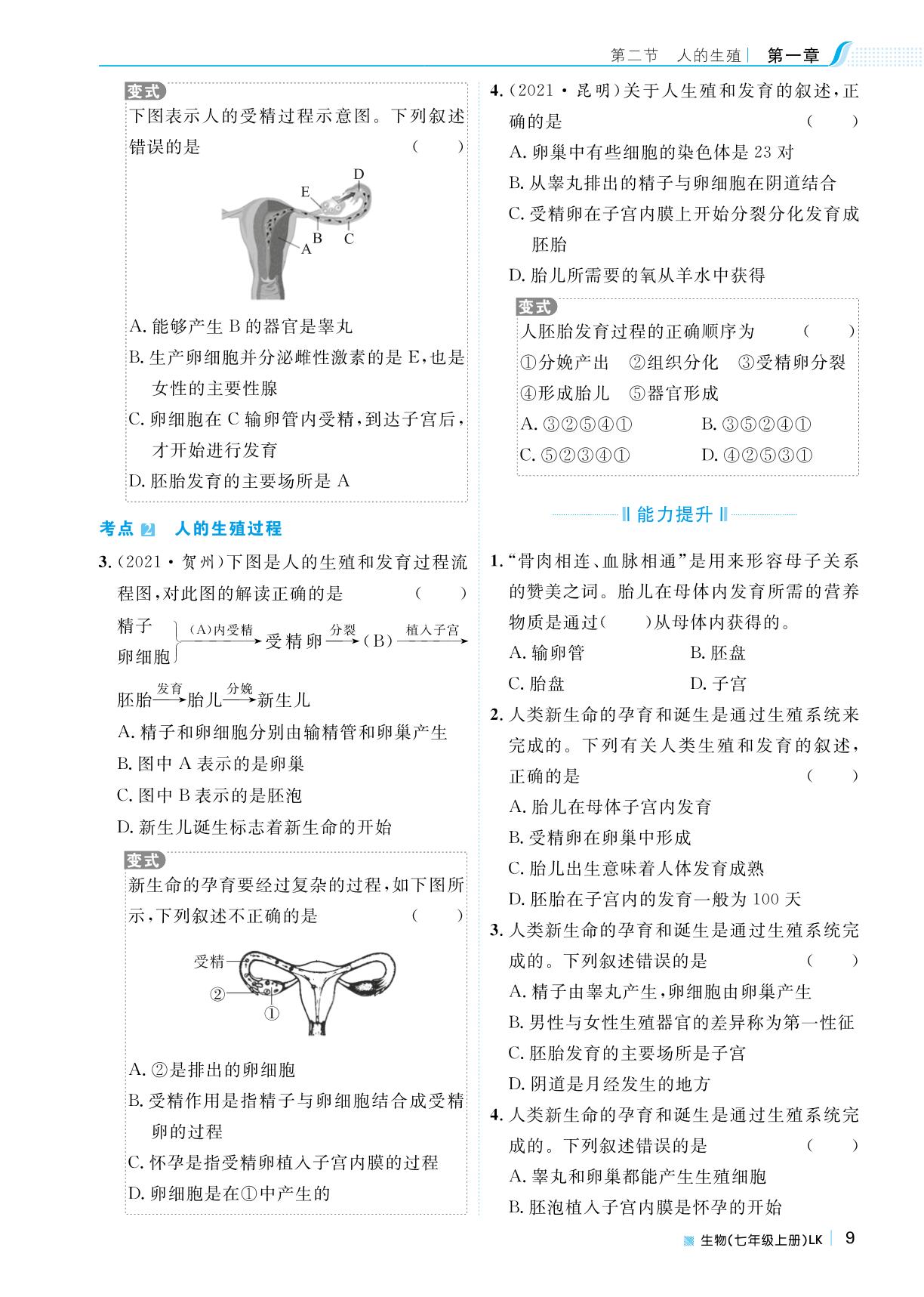 第四单元 第一章 第二节人的生殖-2022秋七年级生物上册【天梯学案】初中同步新课堂（鲁教版）五四学制