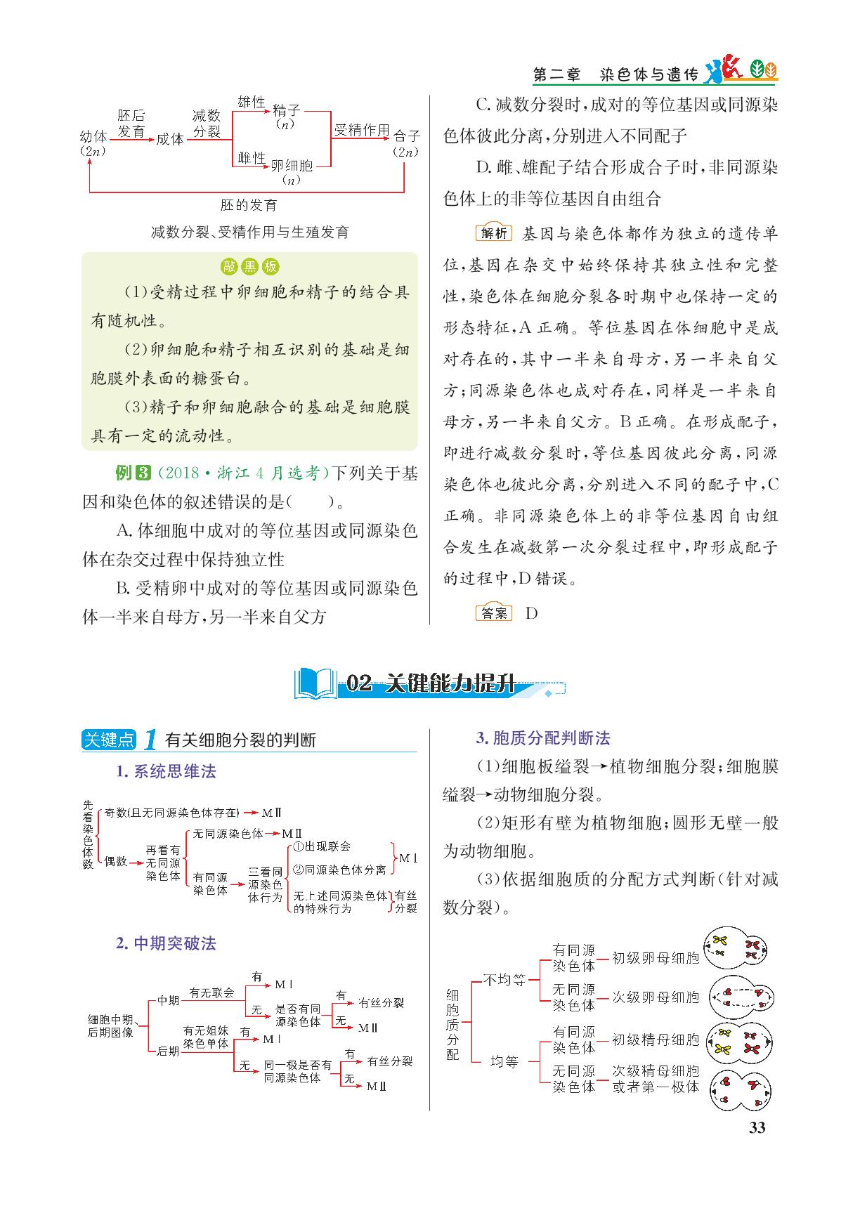 第二章 第一节 染色体通过配子传递给子代-2022-2023学年新教材高中生物必修2 遗传与进化【重难点手册】浙科版