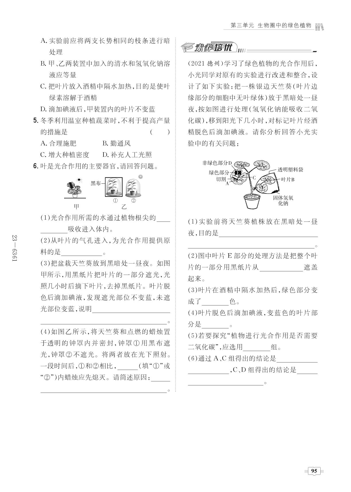 第3单元 第5章 绿色植物与生物圈中的碳氧平衡-2022-2023学年七年级上册初一生物【导与练】初中同步练案（人教版）