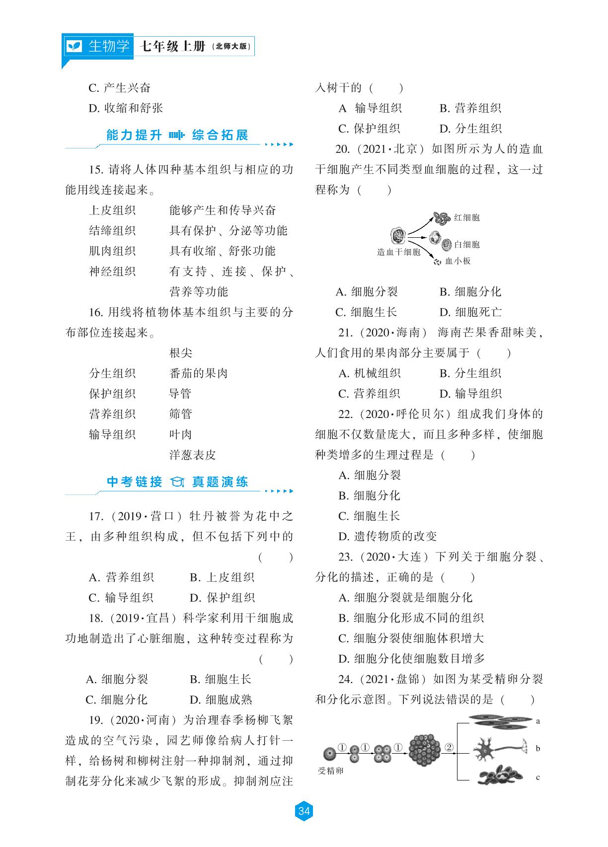 第2单元 第4章 生物体的结构层次-2022-2023学年七年级上册初一生物【新课程同步训练】北师大版