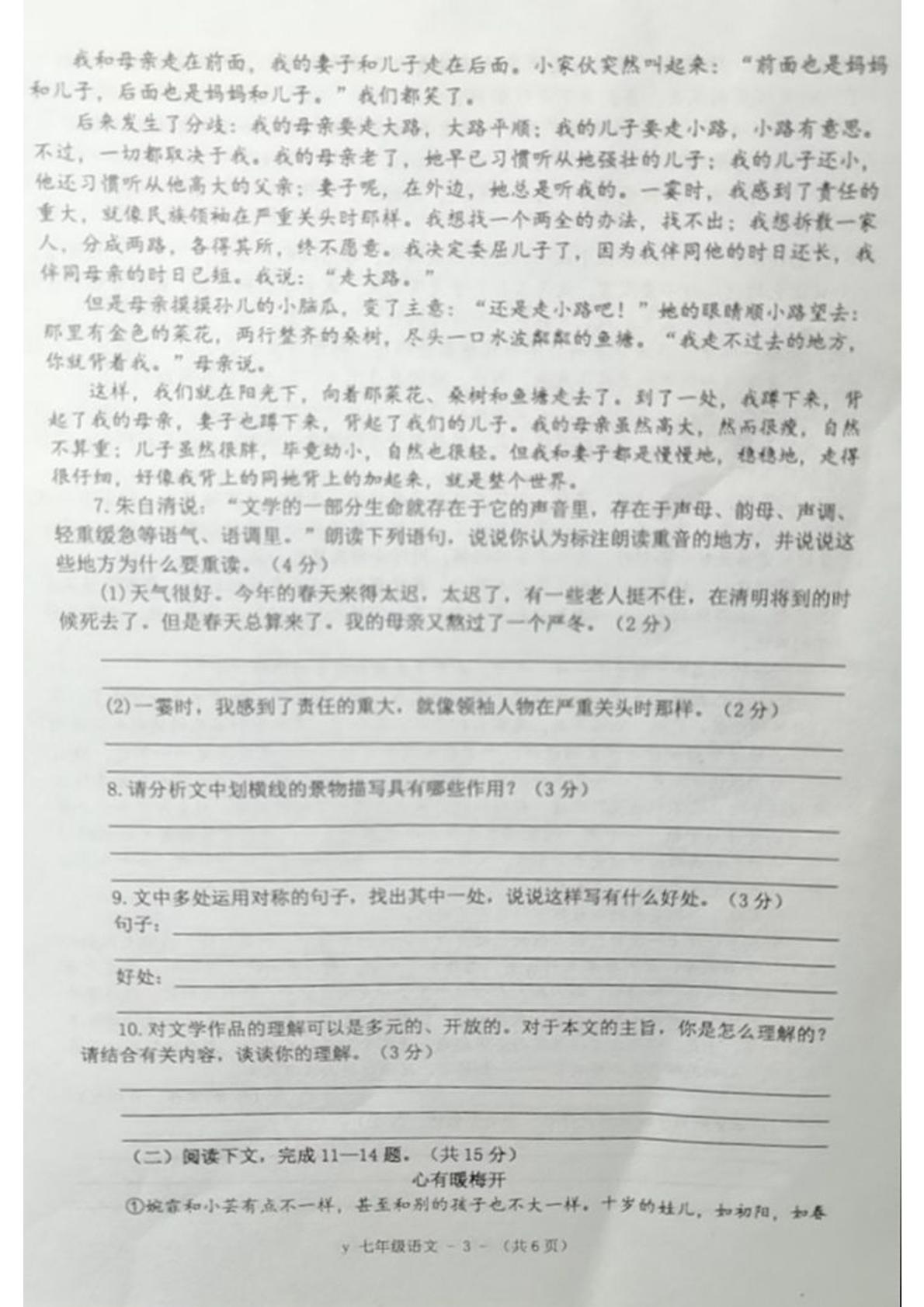 河南省驻马店市泌阳县实验中学2022-2023学年七年级上学期期中语文试卷