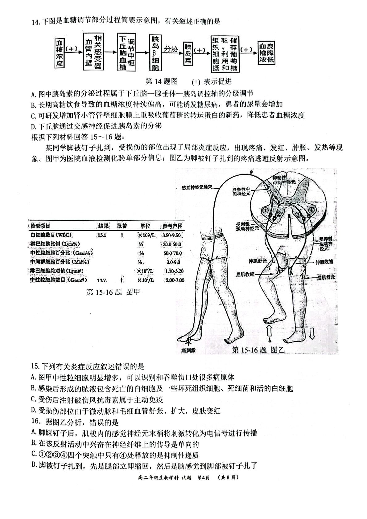 浙江省大罗山联盟2022-2023学年高二上学期11月期中生物试题