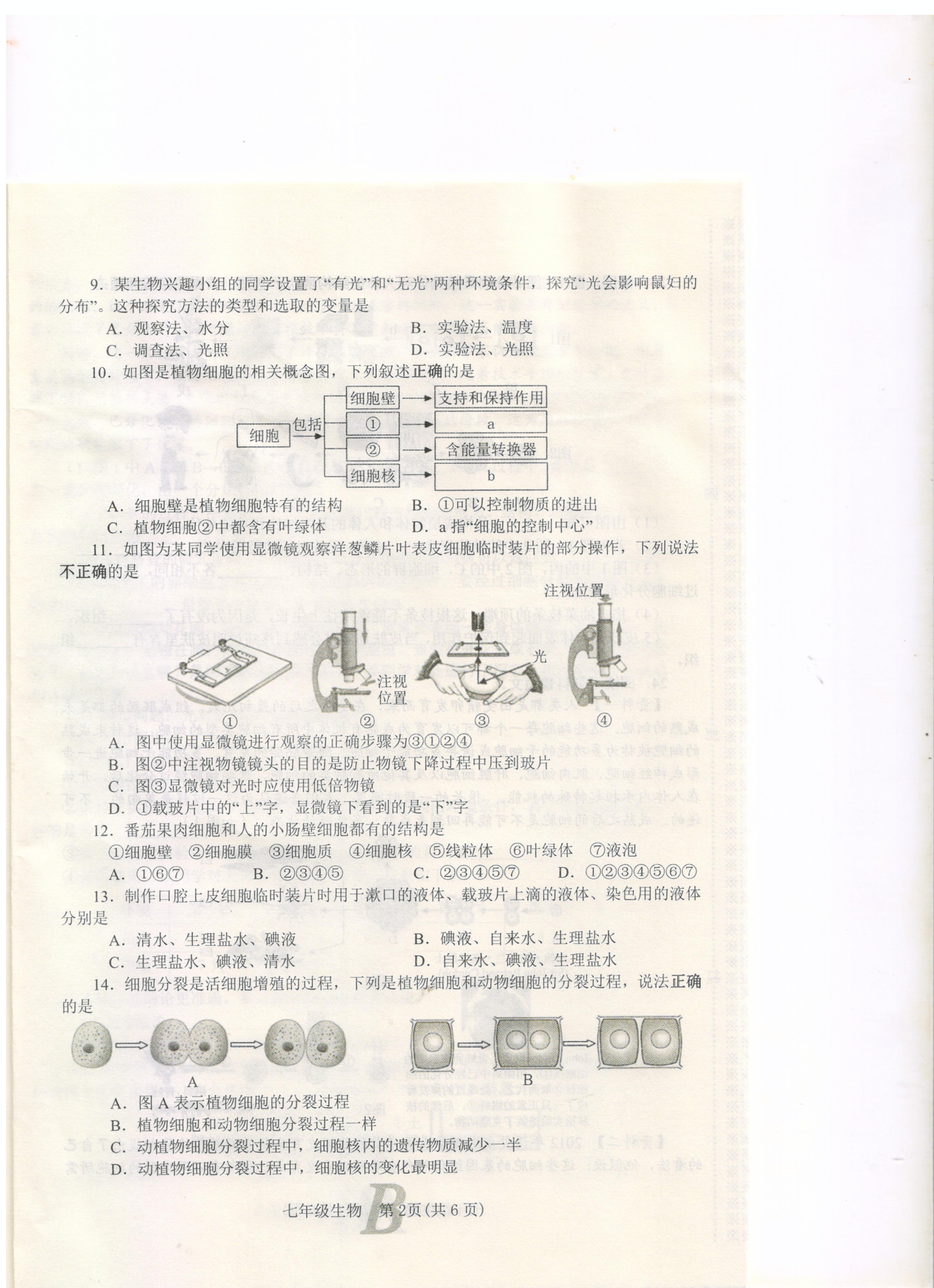 河南省平顶山市宝丰县2022-2023学年七年级上学期期中考试生物试题