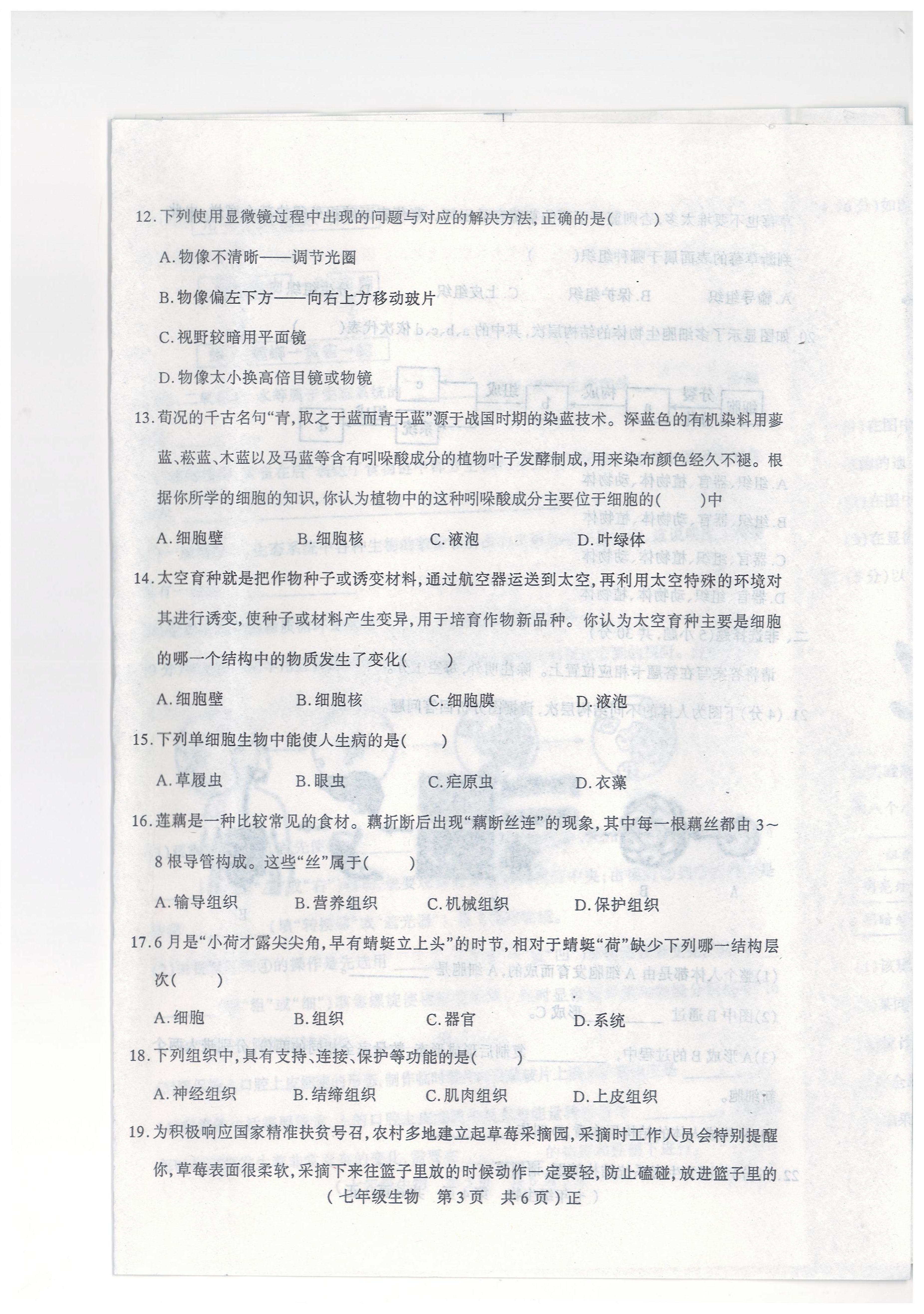 河南省驻马店市正阳县2022-2023学年七年级上学期期中生物试题