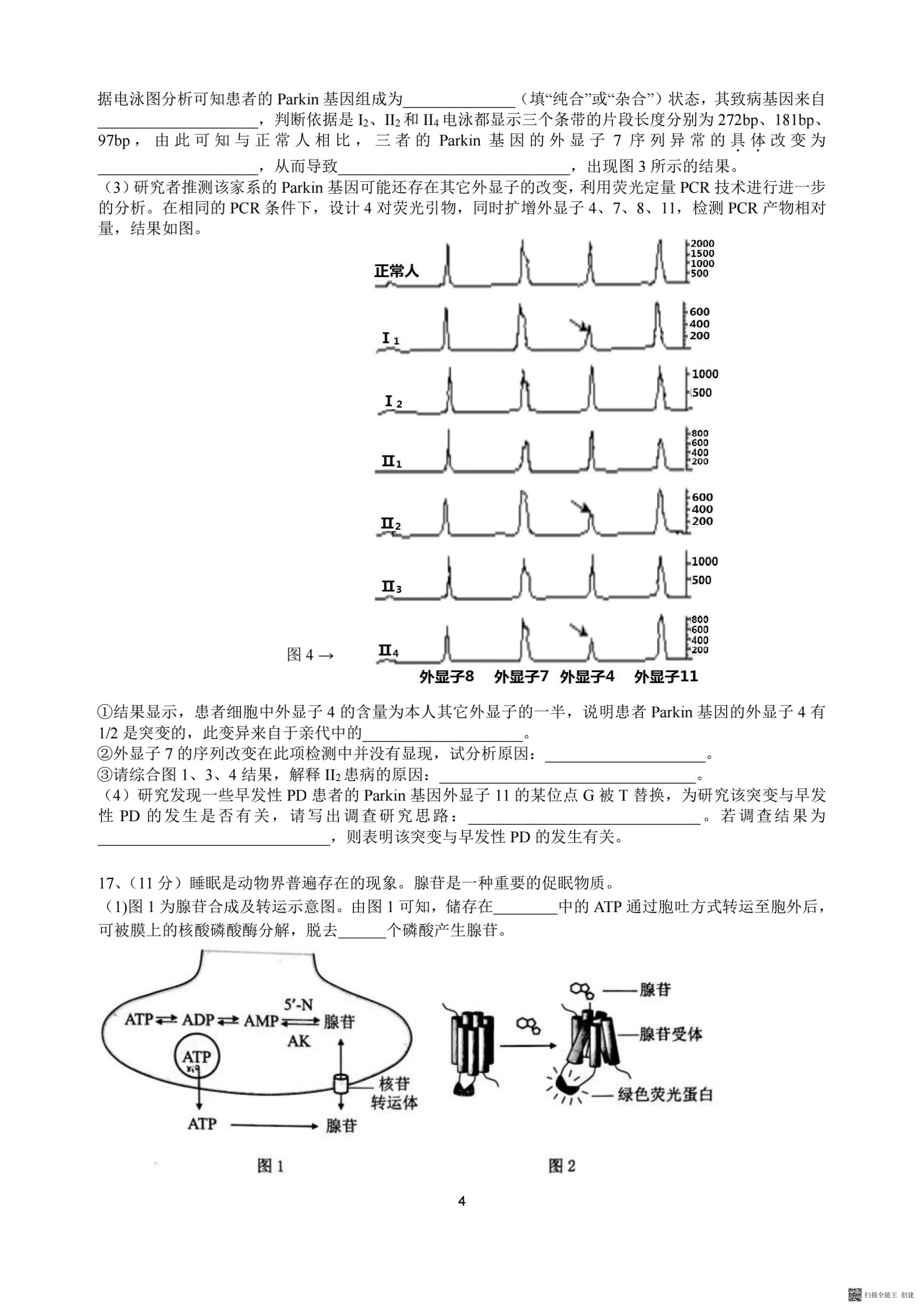 北京市顺义区牛栏山一中2022-2023学年高三上学期期中考试生物试题