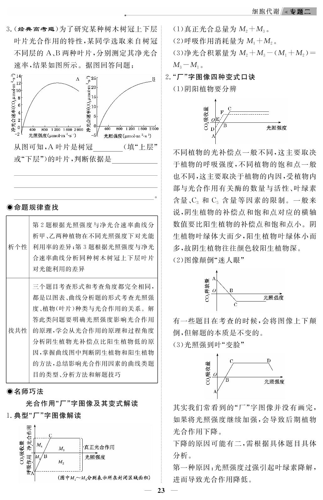 高考命题点1 光合作用与呼吸作用-【高考前沿】2023高考生物第二轮复习·超级考生备战高考（新教材）