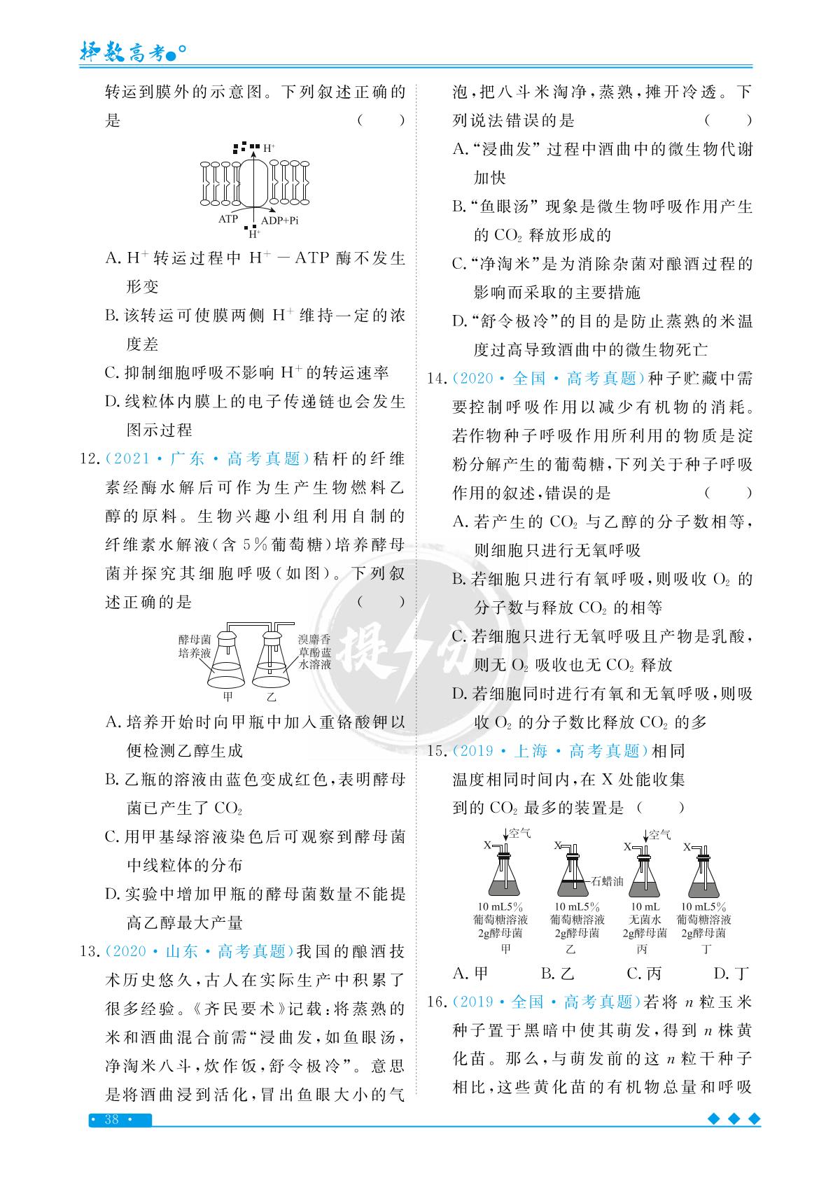 专题3 考点3 细胞呼吸-【择数·高考闪电提分】2023高考生物基础必刷1000题