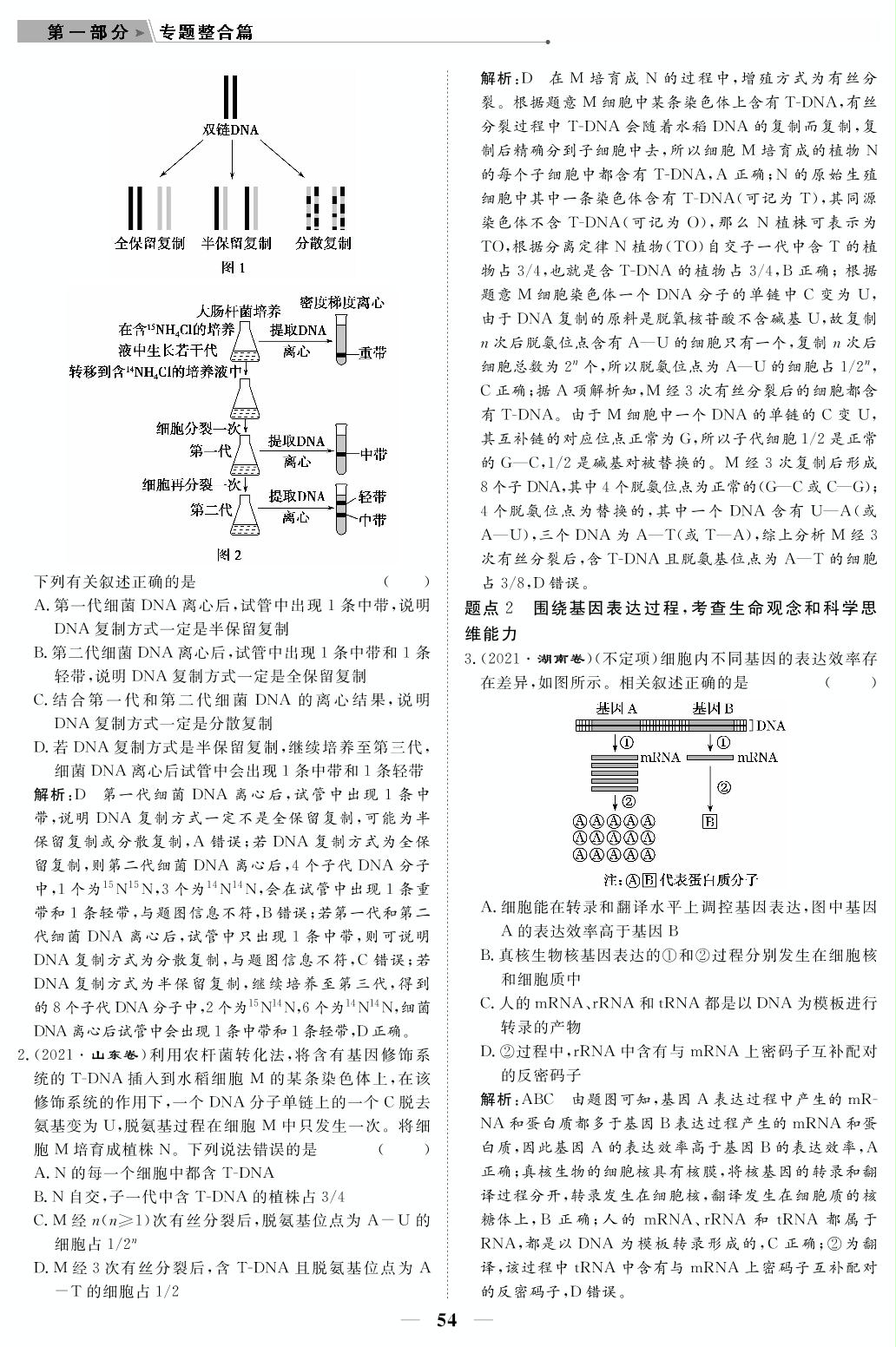 专题4 基因的本质与表达（教参）-【高考前沿】2023高考生物第二轮复习·超级考生备战高考（人教版 新教材 老高考）