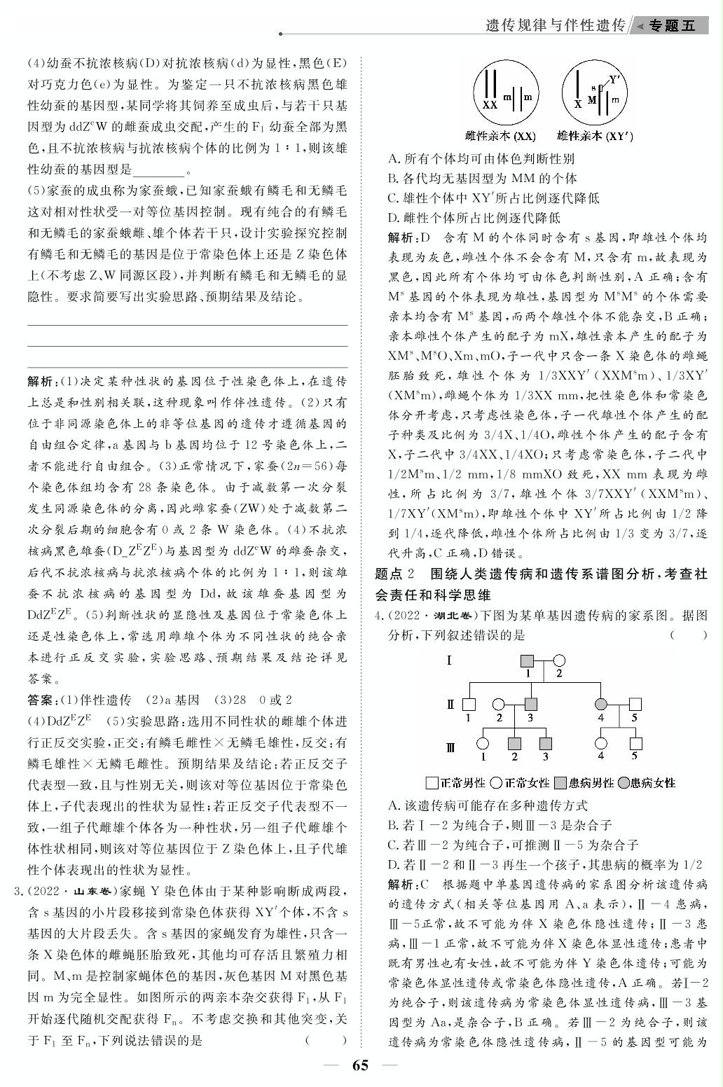 专题5 遗传规律与伴性遗传（教参）-【高考前沿】2023高考生物第二轮复习·超级考生备战高考（人教版 新教材 老高考）