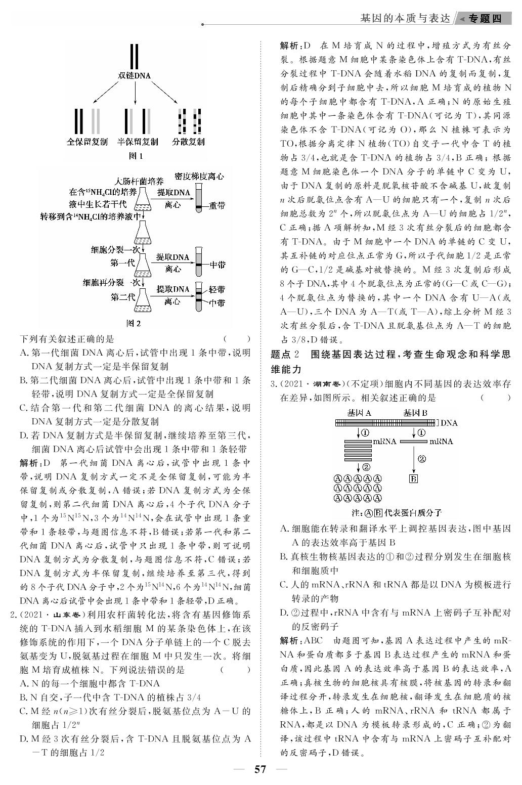专题4 基因的本质与表达（教参）-【高考前沿】2023高考生物第二轮复习·超级考生备战高考（人教版 新教材 新高考）