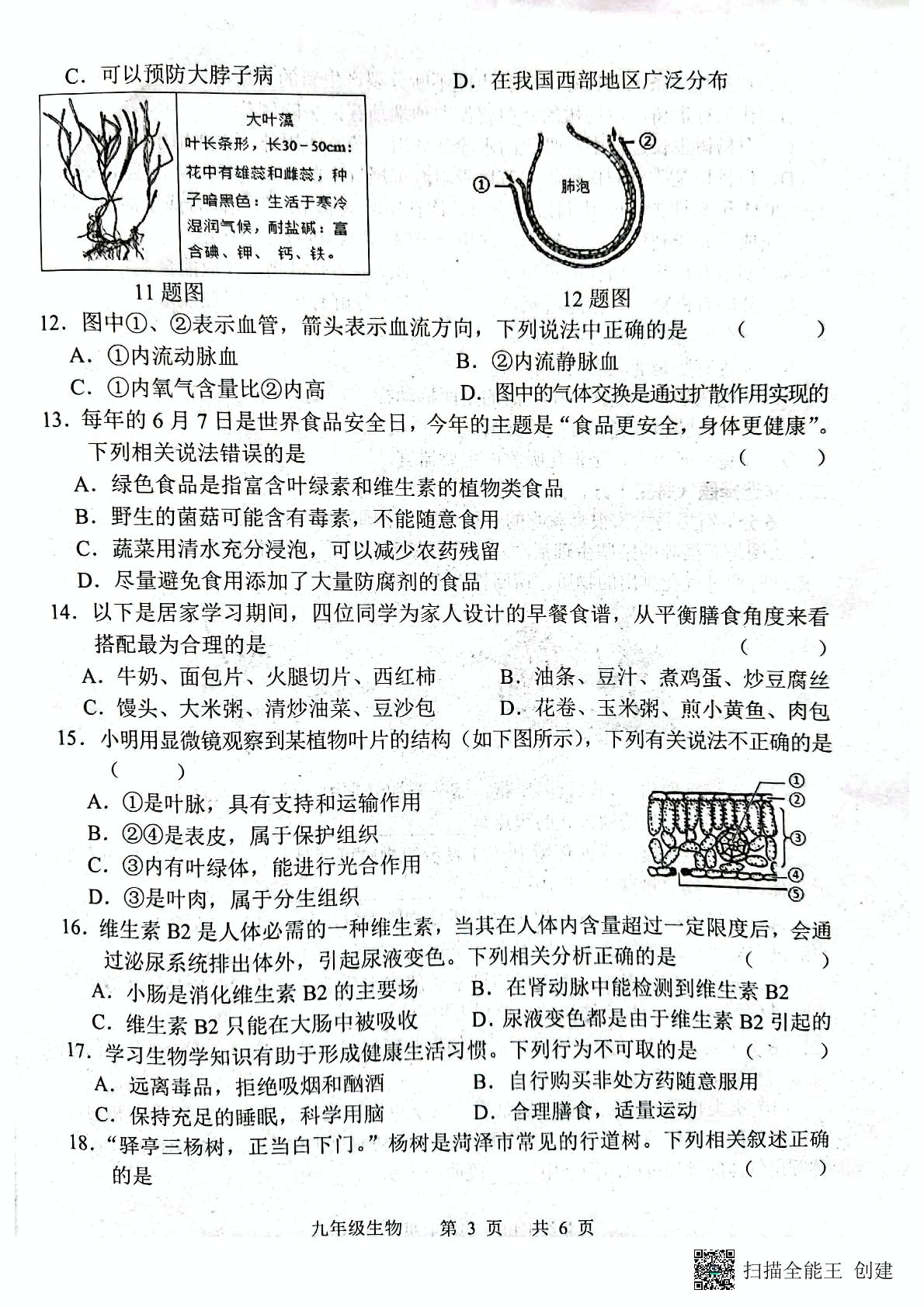 山东省菏泽市牡丹区2022-2023学年九年级上学期期末生物试题