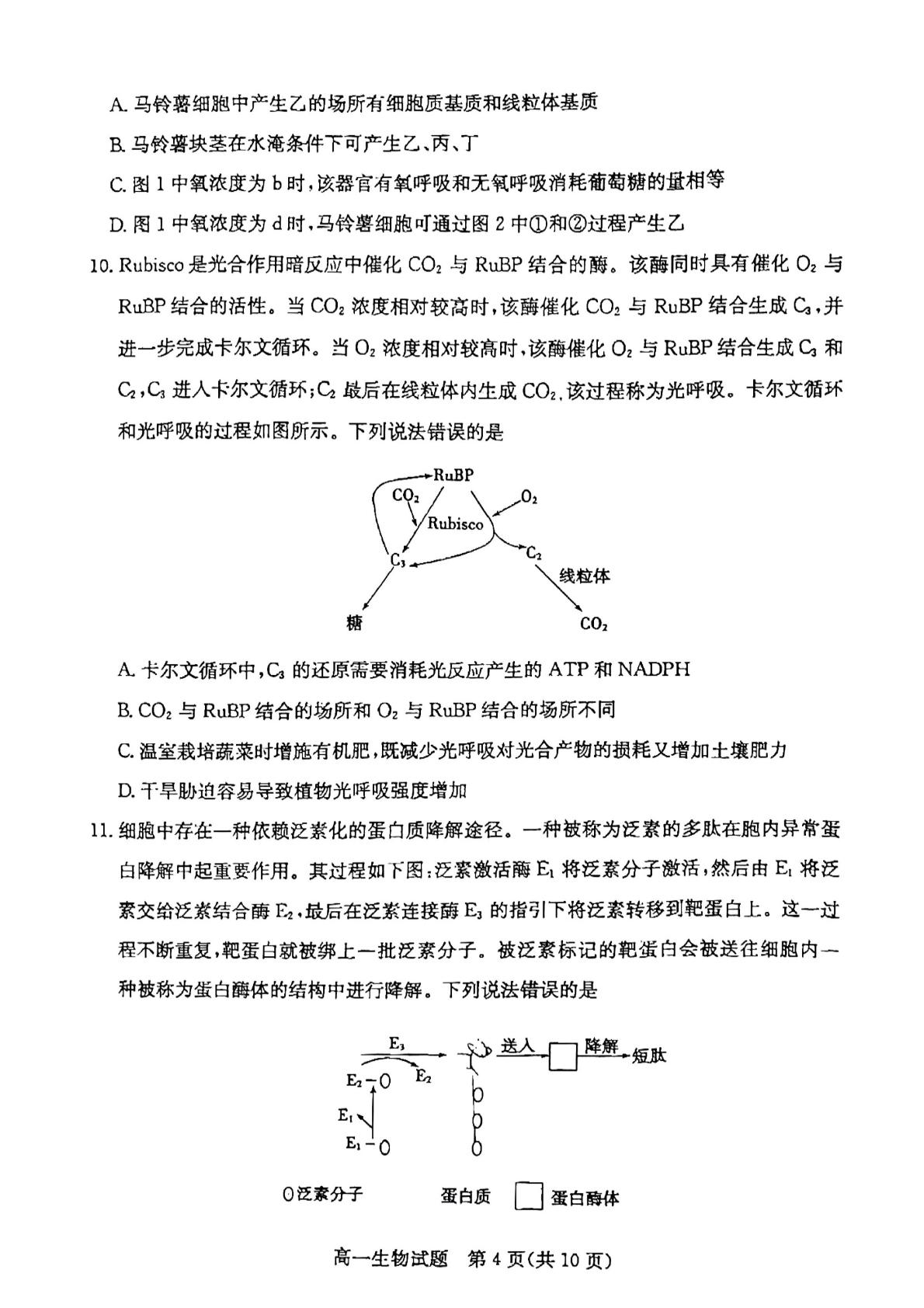 山东省滨州市2022-2023学年高一上学期2月期末生物试题