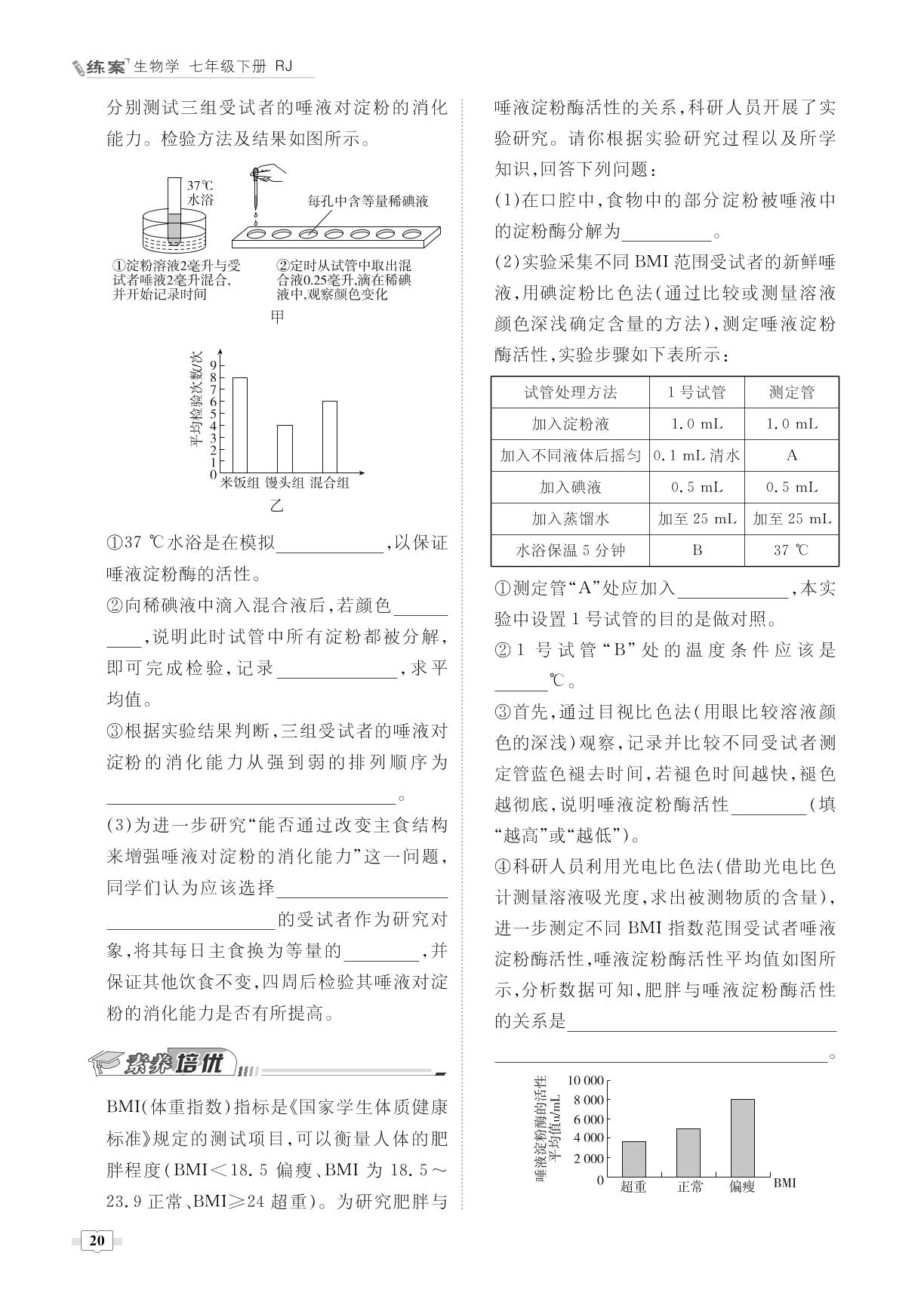 第四单元第二章第二节 消化和吸收-【导与练】2022-2023学年七年级下册初一生物同步练案（人教版）