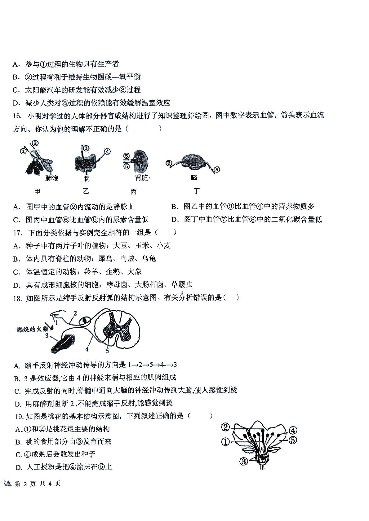 2023年山东省德州市平原县二模生物试题