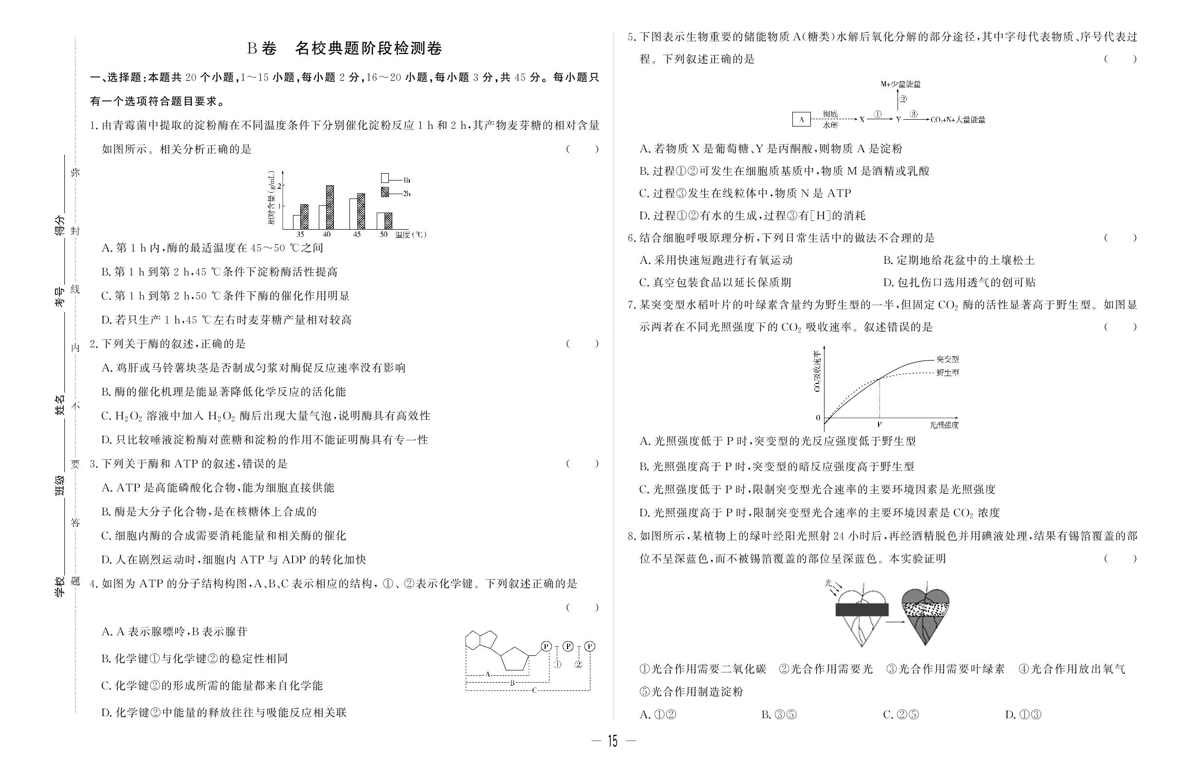 阶段检测三 第5章 细胞的能量供应和利用&第6章 细胞的生命历程-【师大金卷】2023-2024学年高中生物必修1双测领航卷（人教版 单选版）