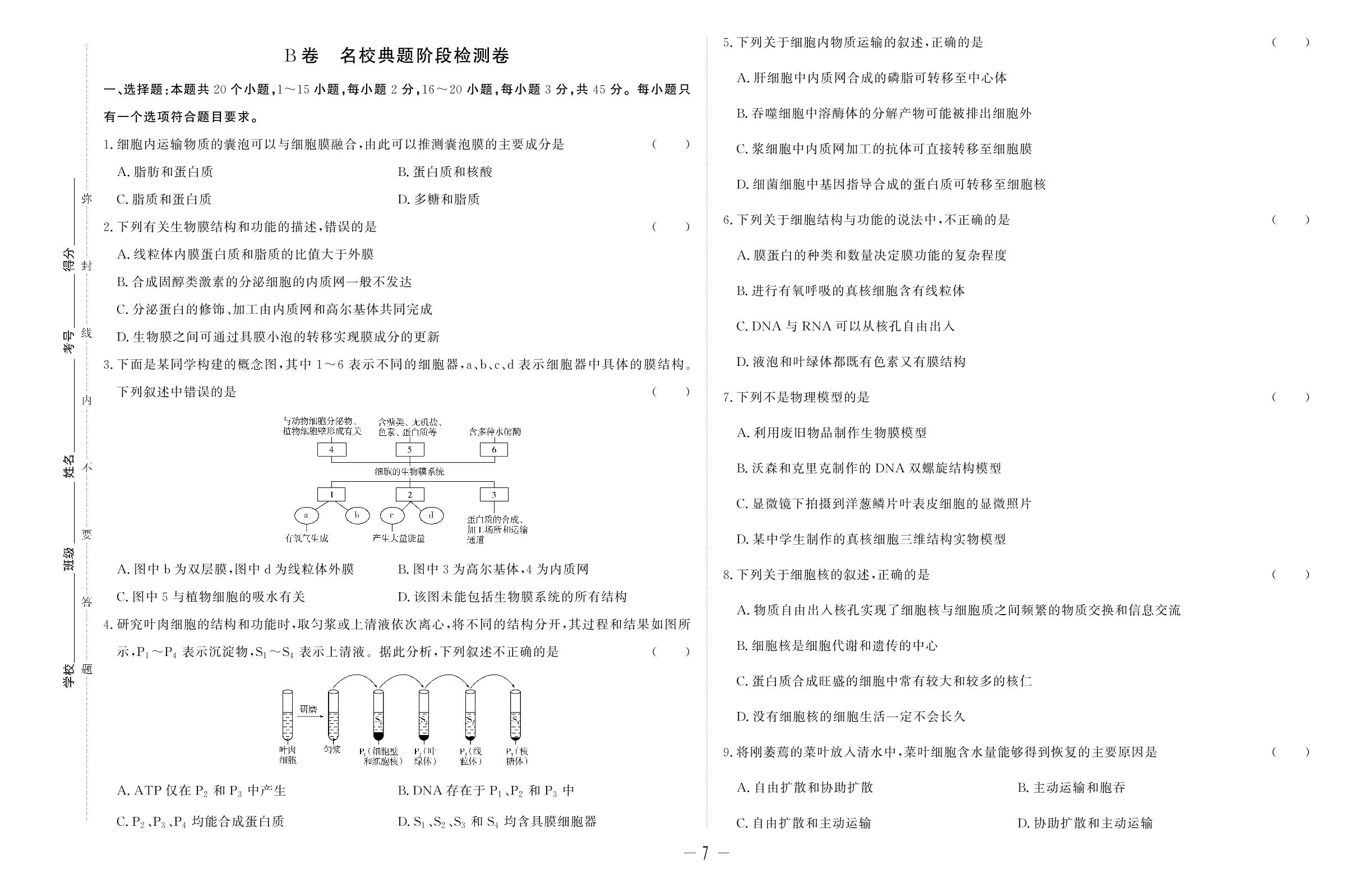阶段检测二 第3章 细胞的基本结构&第4章 细胞的物质输入和输出-【师大金卷】2023-2024学年高中生物必修1双测领航卷（人教版 单选版）