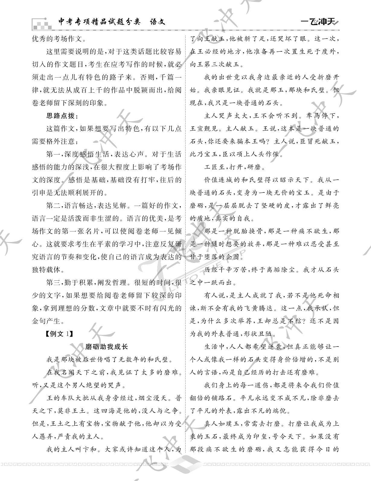 15.专题十五 记叙文-【一飞冲天-中考专项】2023年精品试题分类（天津专版）语文