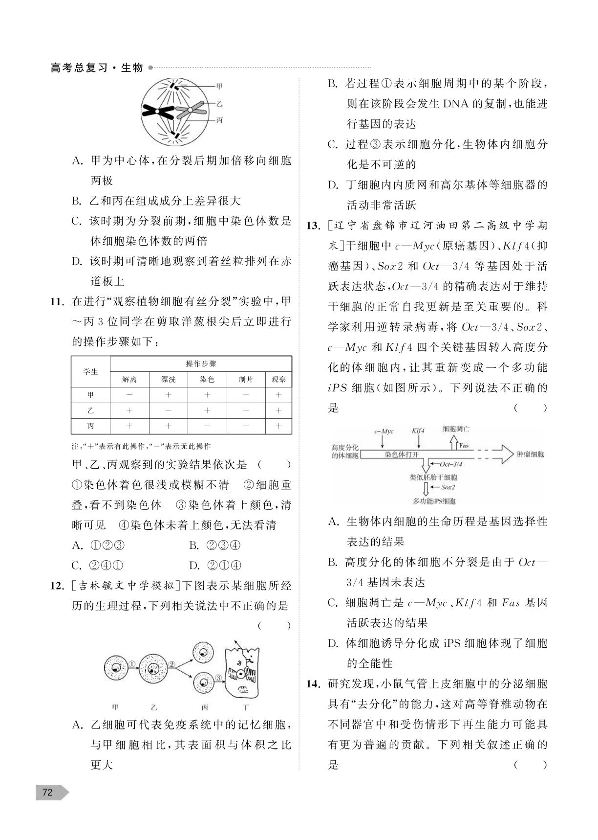 专题三 细胞的生命历程 综合评估-【高考总复习】2024高考生物一轮复习