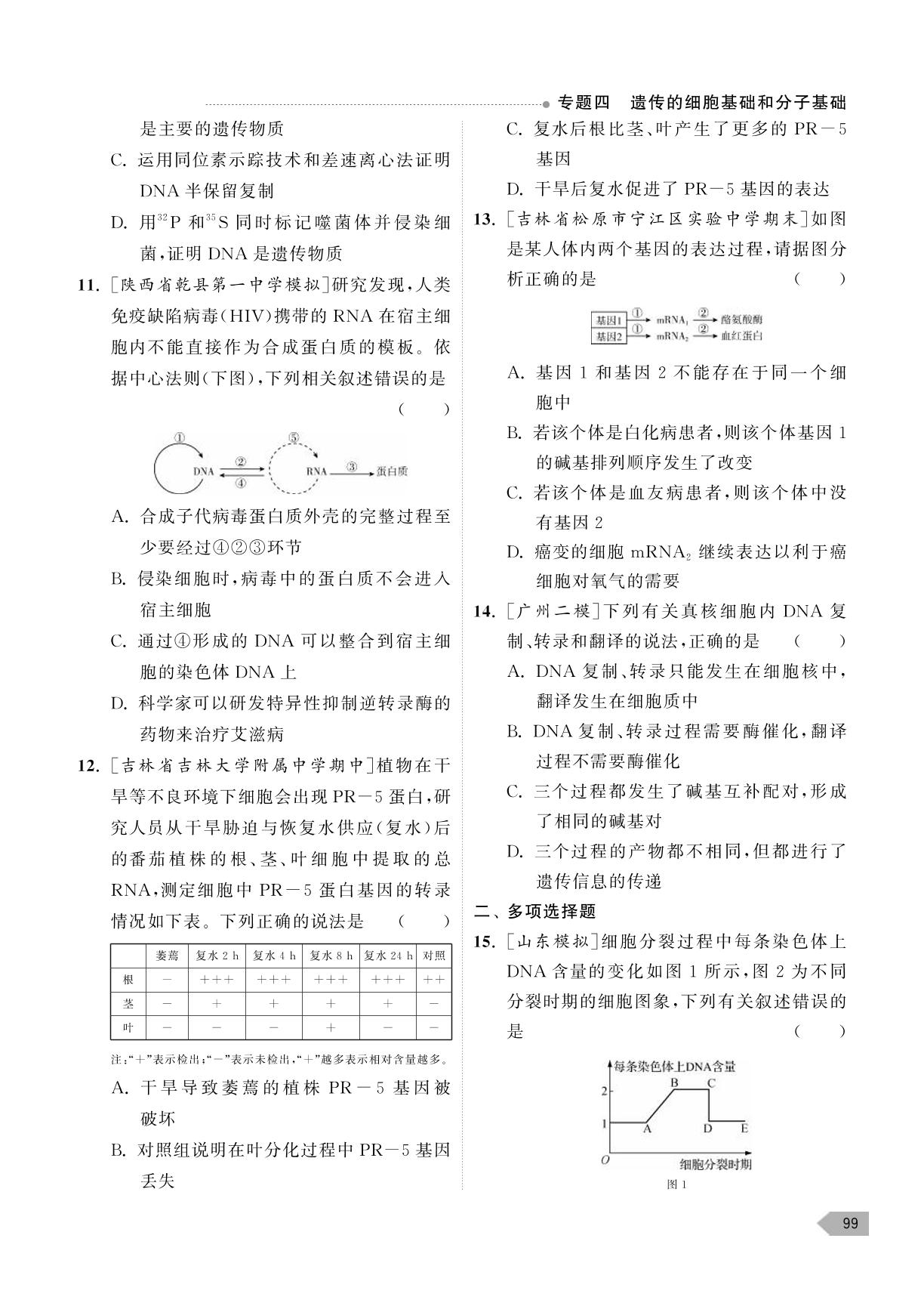 专题四 遗传的细胞基础和分子基础 综合评估-【高考总复习】2024高考生物一轮复习