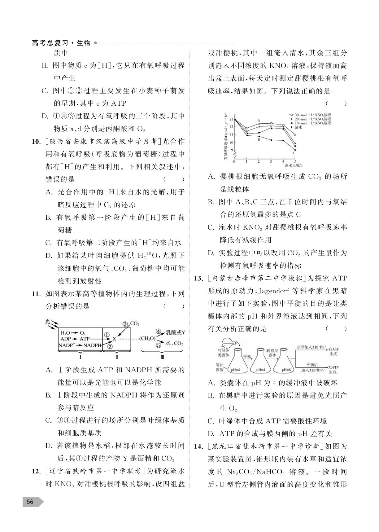专题二 细胞代谢 综合评估-【高考总复习】2024高考生物一轮复习