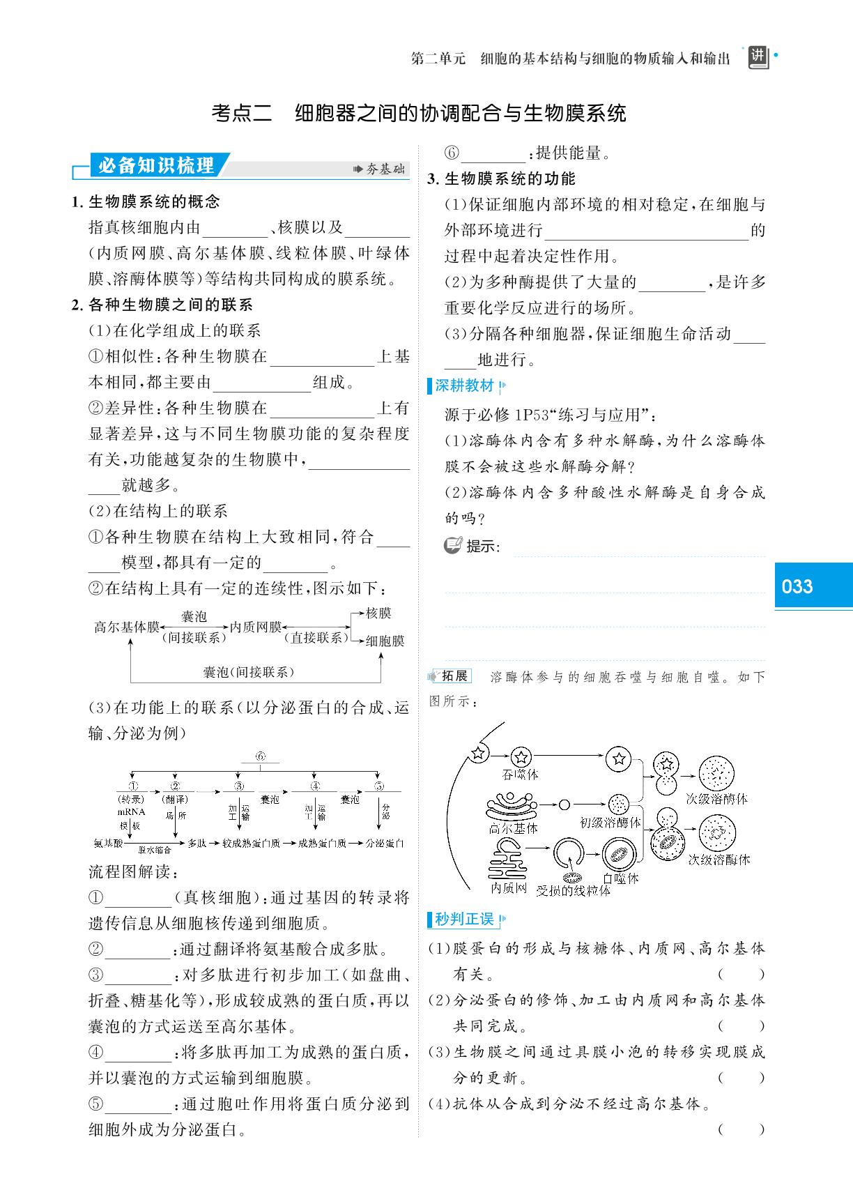 模块一 第二单元 第2课时 细胞器之间的分工、协调配合及生物膜系统-（讲义）【红对勾讲与练】2024版新高考生物大一轮复习全新方案