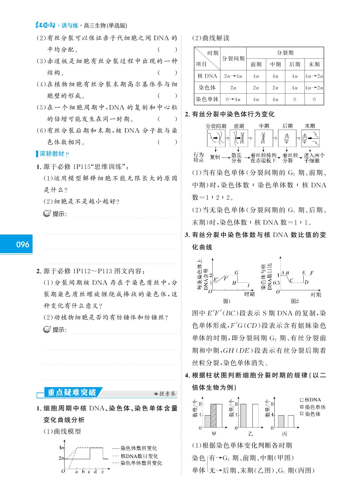 模块一 第四单元 第1课时 有丝分裂过程中相关变化及观察实验-（讲义）【红对勾讲与练】2024版新高考生物大一轮复习全新方案