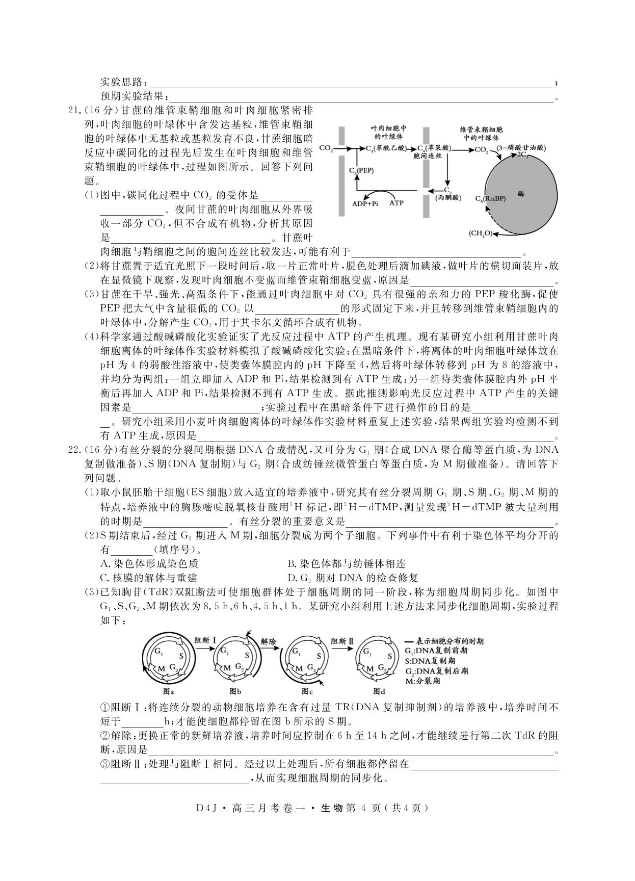 【抢分课堂】2024年新高考生物一轮总复习名校联考摸底考试月考卷一(适用于甘肃、广西、湖南、贵州、江西、安徽）