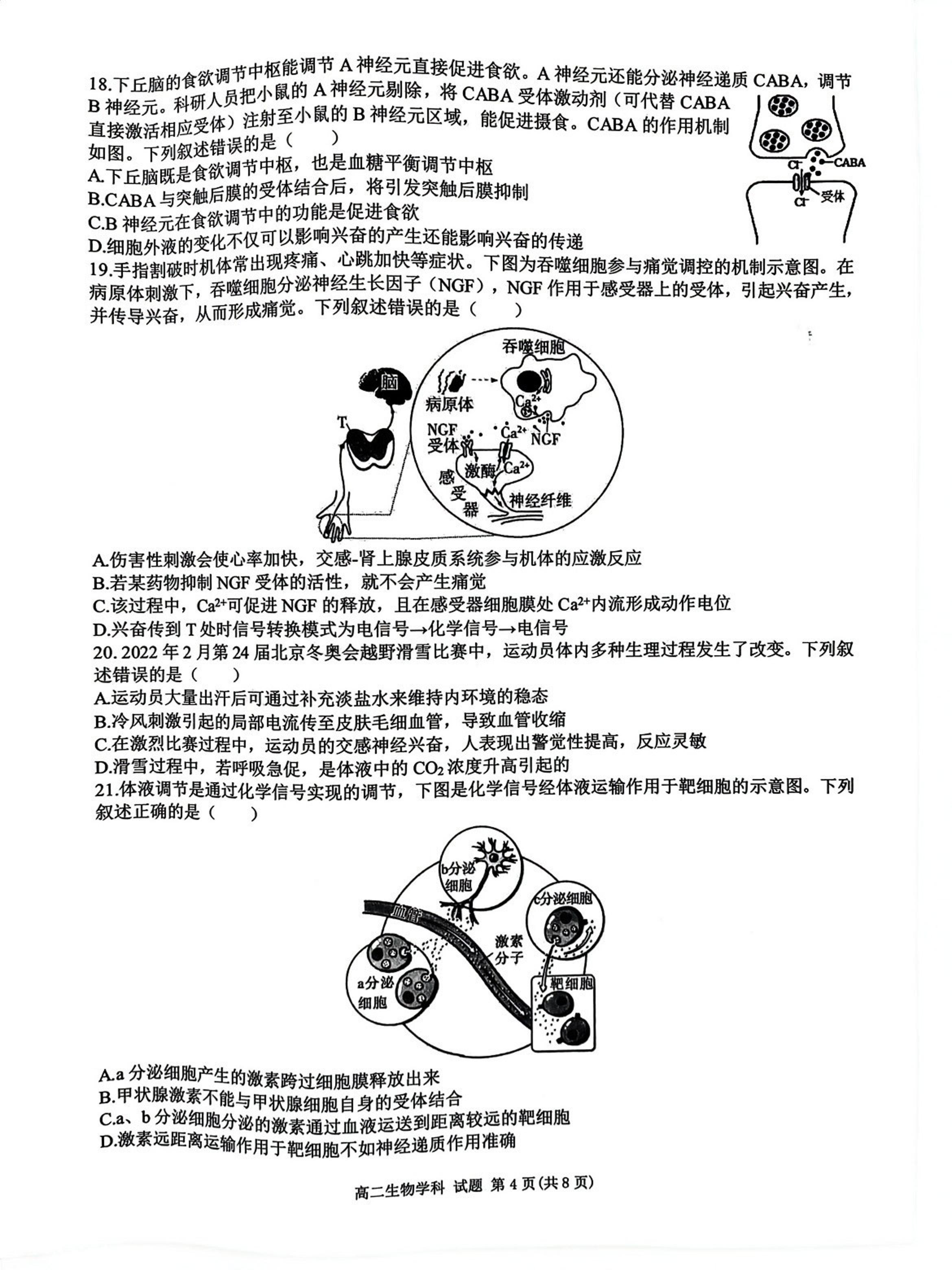 浙江省七彩阳光2023-2024学年高二上学期11月期中生物试题