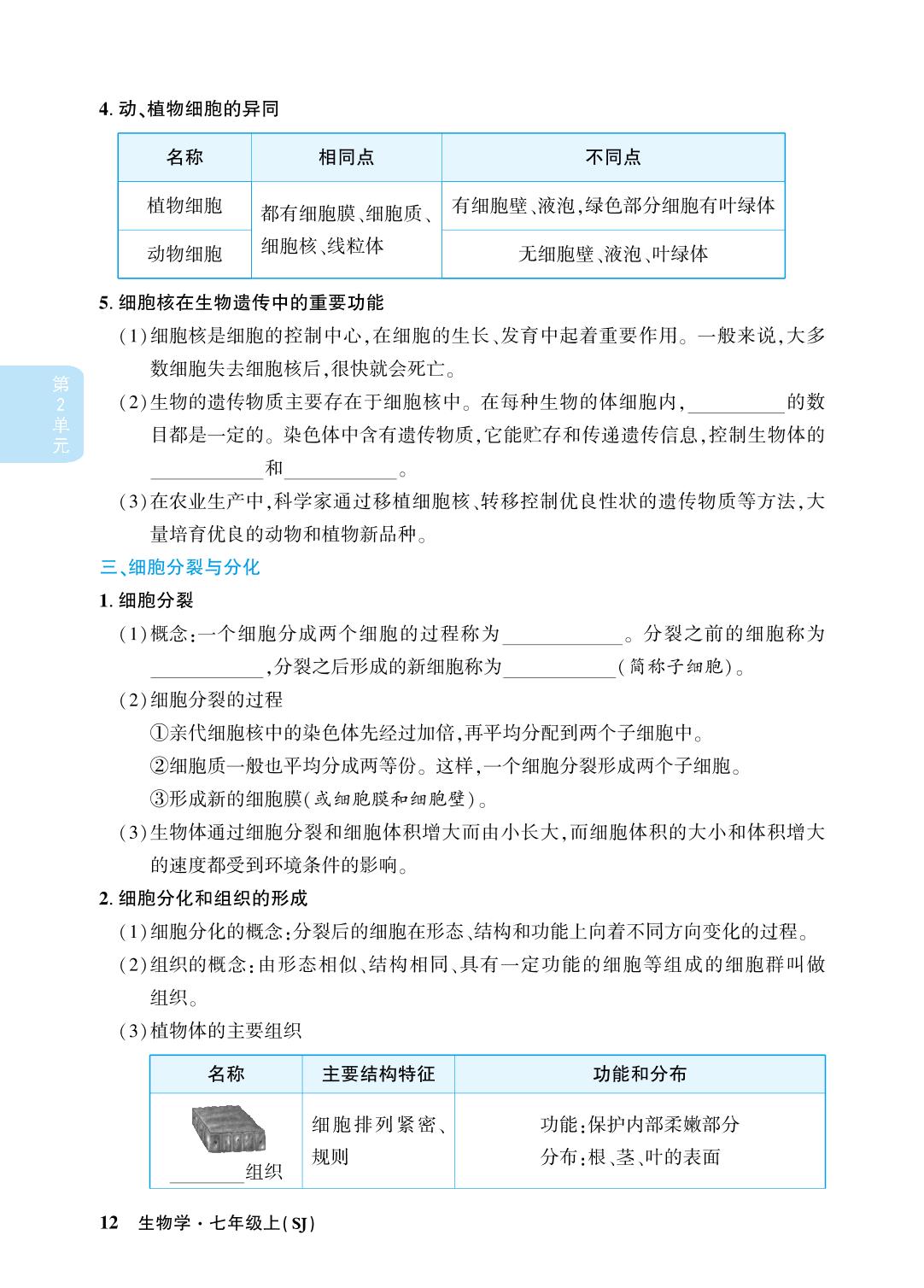 第2单元 生物体的结构层次-【小四科】2023-2024学年七年级上册生物单元同步活页好卷考点集锦（苏教版）