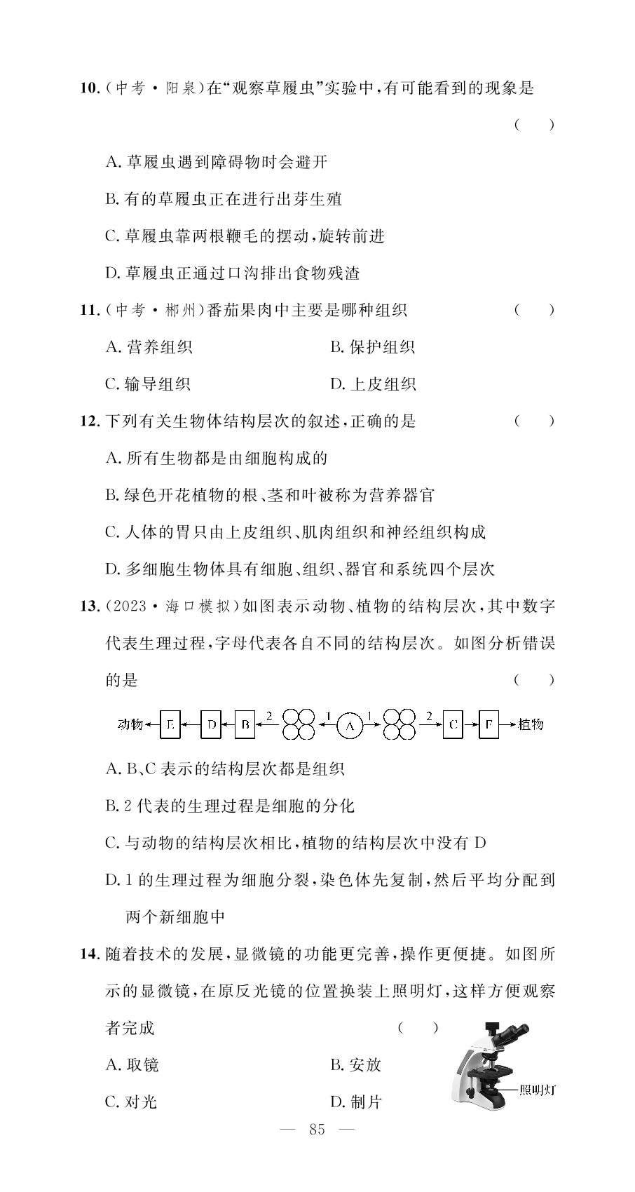第二单元 生物体的结构层次 学业水平测试-【名师学案】2023-2024学年七年级上册生物分层进阶学习法（人教版）