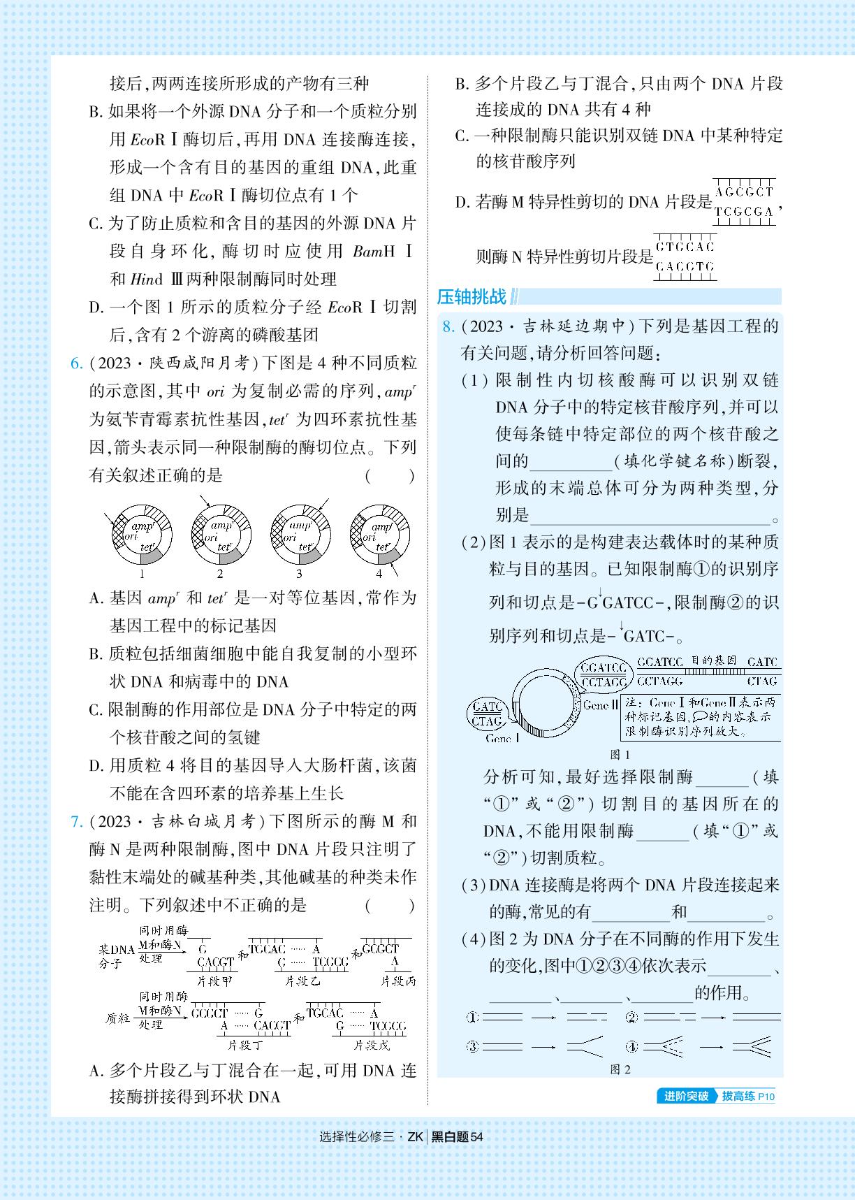 4.1 基因工程赋予生物新的遗传特性-【学霸题中题】2023-2024学年新教材高中生物选择性必修第三册(浙科版)