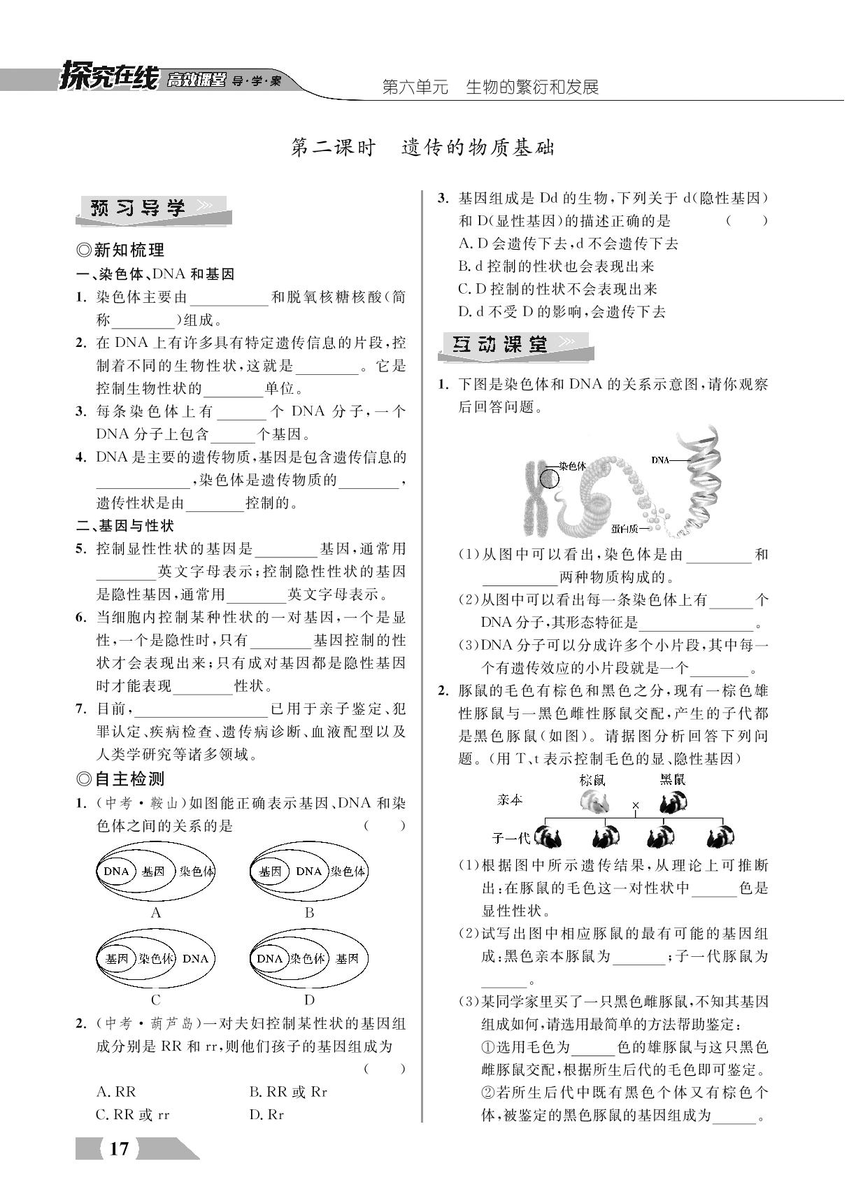 6.2.1 遗传-【探究在线】2023-2024学年八年级下册生物高效课堂导学案（冀少版）