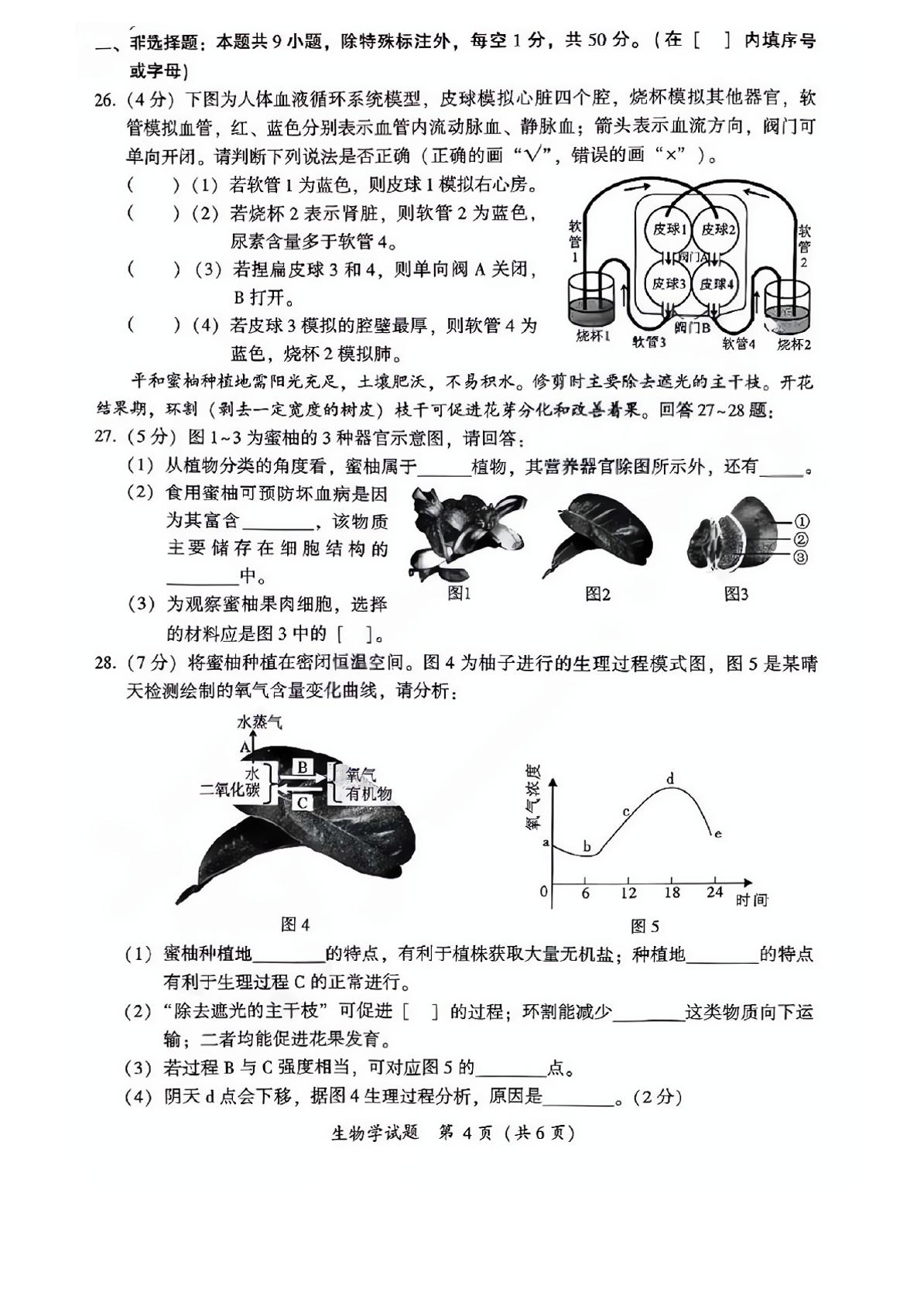 2024年福建省漳州市初中毕业班教学质量检测生物试题