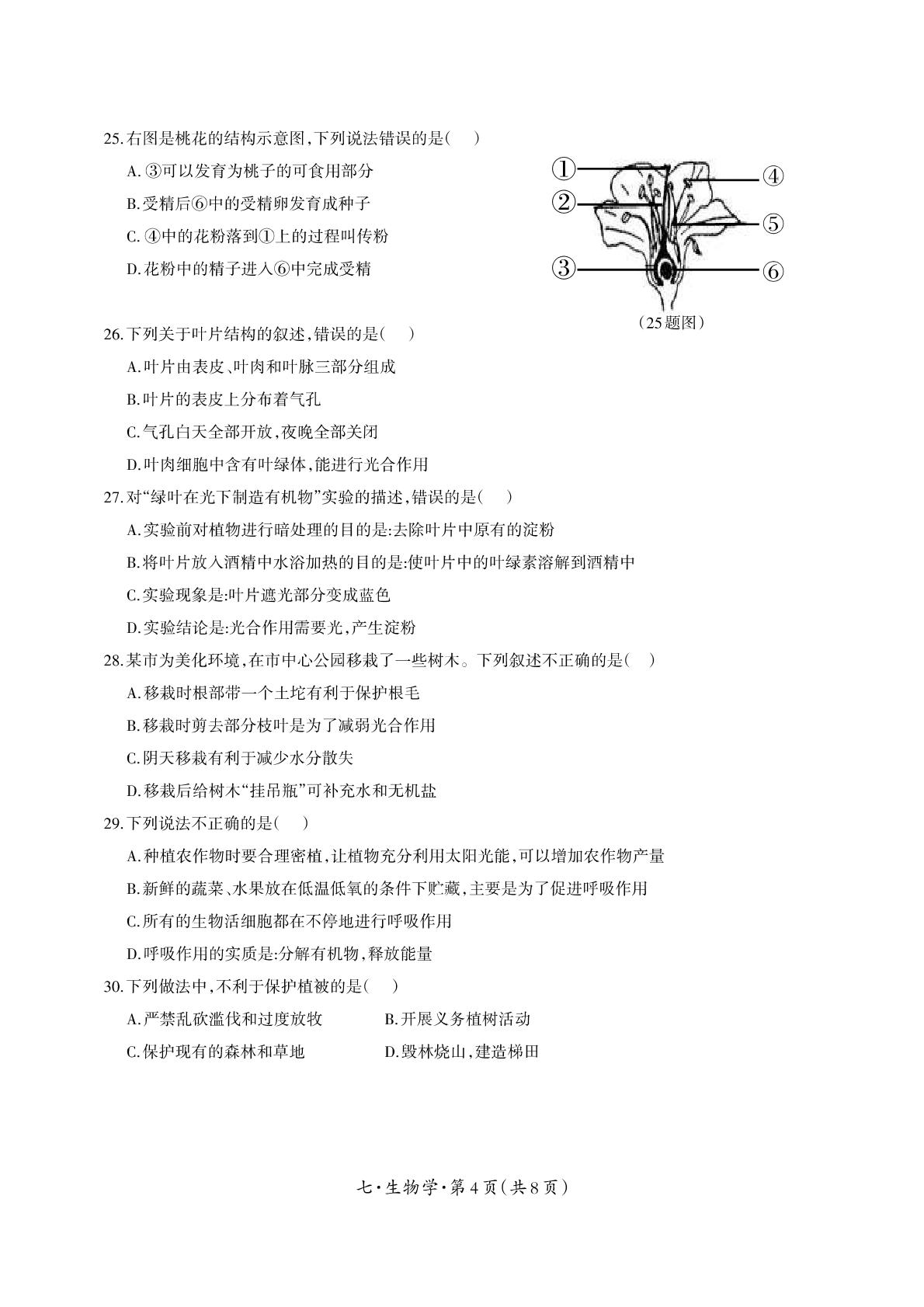 云南省德宏地区2023-2024学年七年级上学期期末考试生物试题