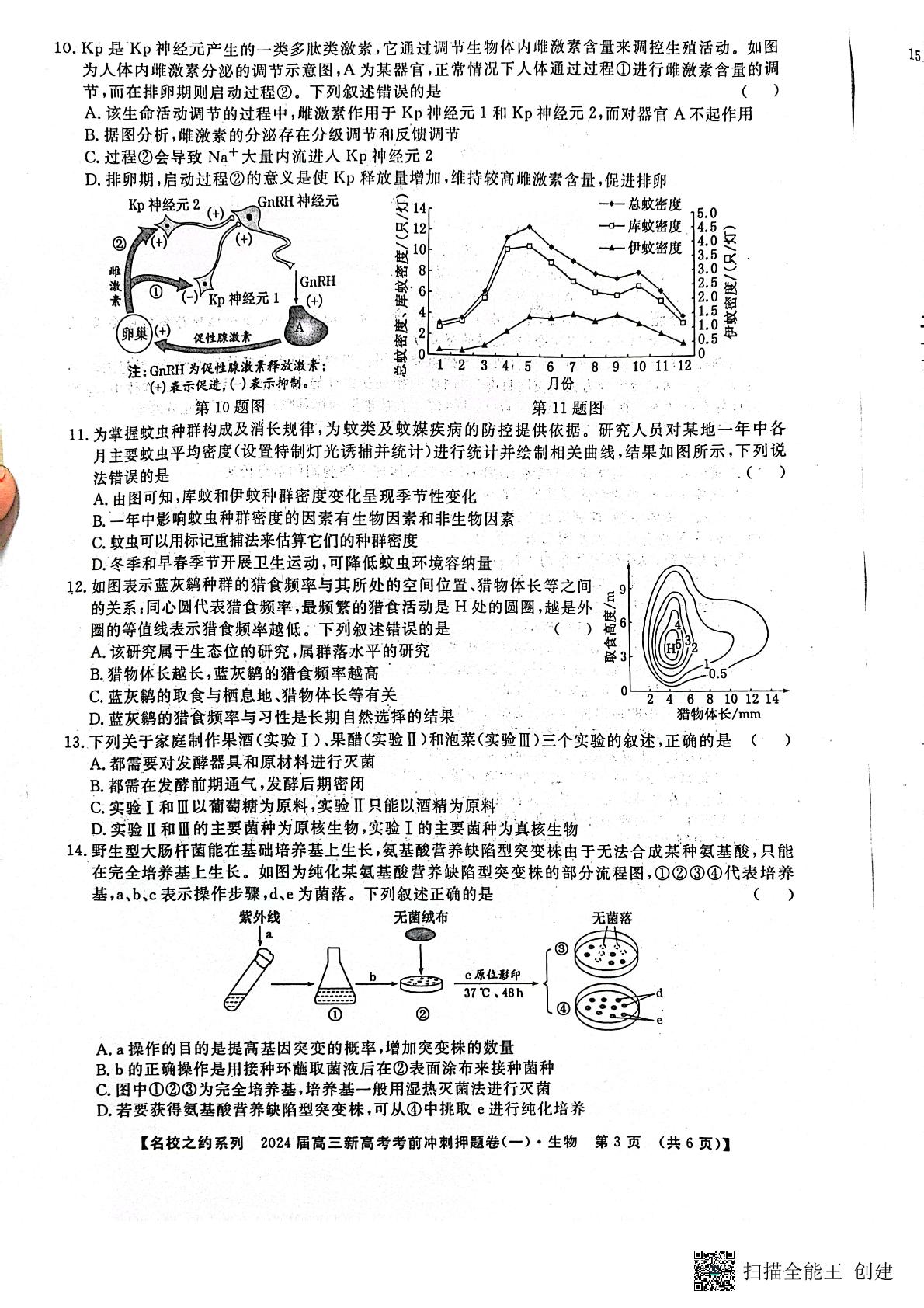 山东省临沂市郯城县美澳学校2023-2024学年高三下学期4月月考生物试题