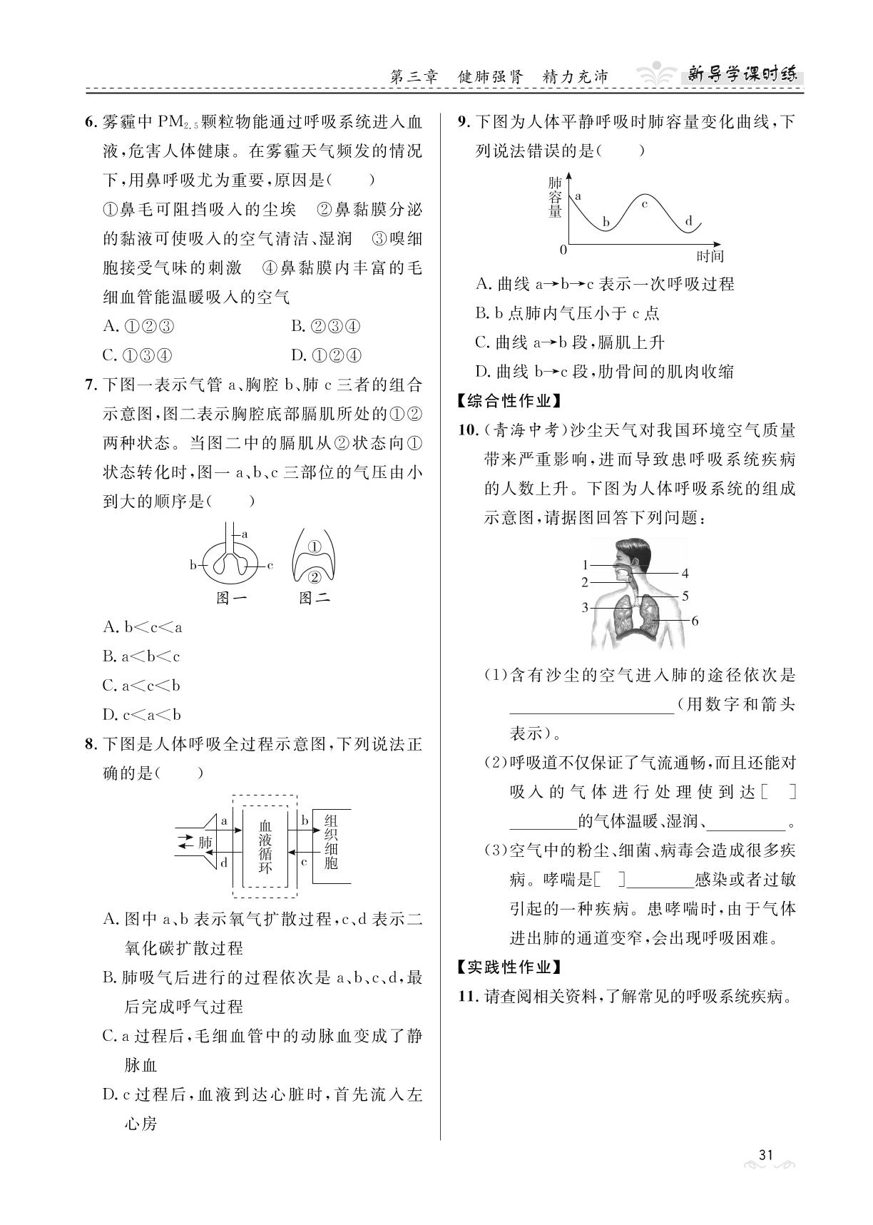 3.1 呼吸-【夺冠百分百】2023-2024学年七年级下册生物新导学课时练（冀少版）河北专版