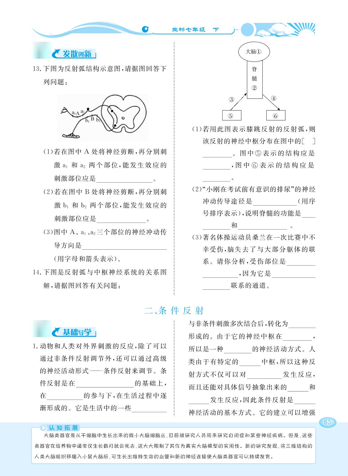 第4章 第3节 信息的处理-【学力水平同步检测与评估】2023-2024学年七年级下册生物（冀少版）