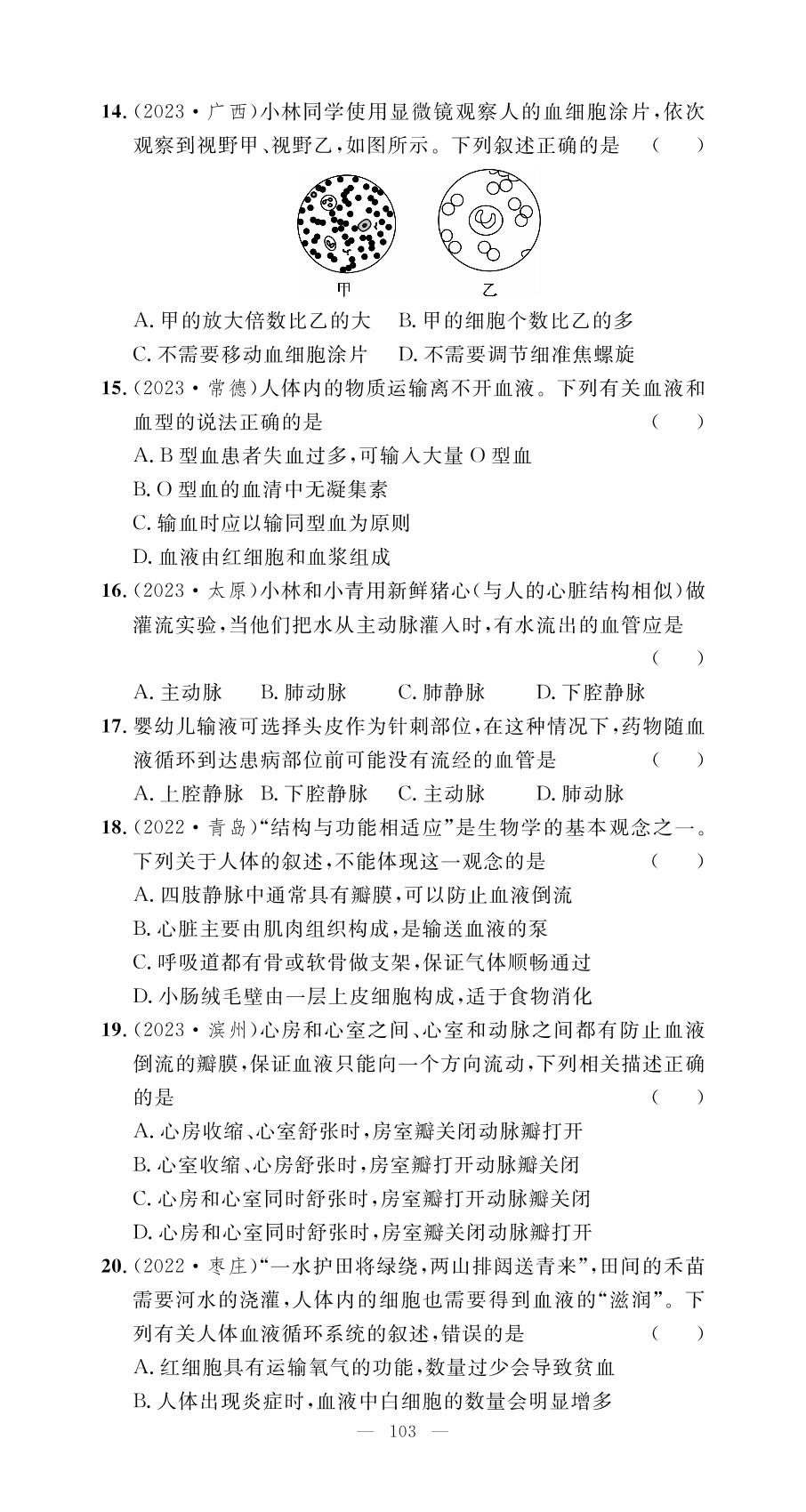 期中水平能力测评卷-【名师学案】2023-2024学年七年级下册生物分层进阶学习法（人教版）