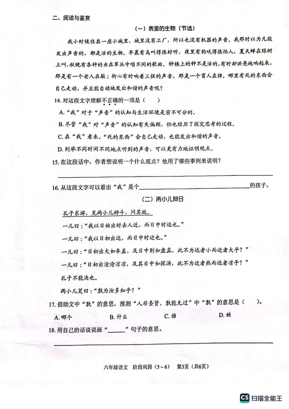 广东省深圳市龙岗区深圳市龙岗区才德小学2023-2024学年六年级下学期6月月考语文试题