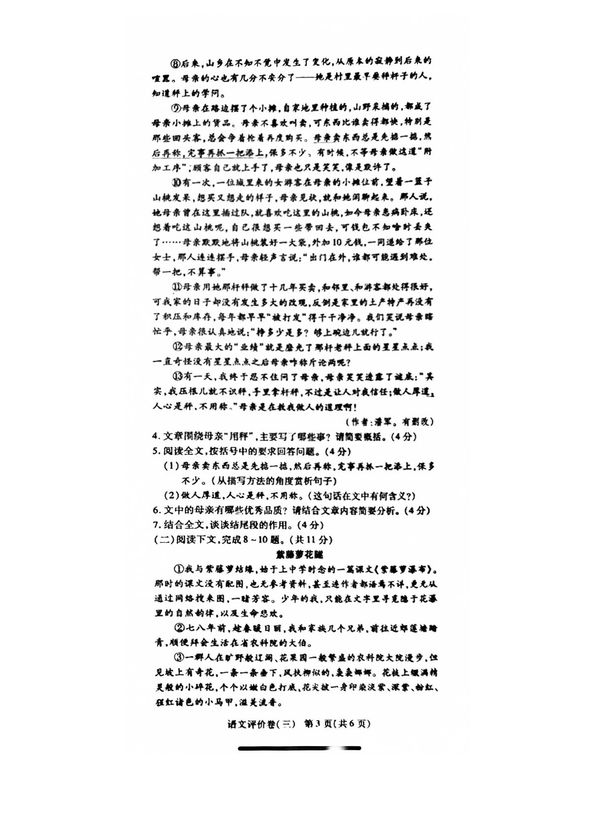 河南省商丘市夏邑县2023-2024学年七年级下学期6月月考语文试题